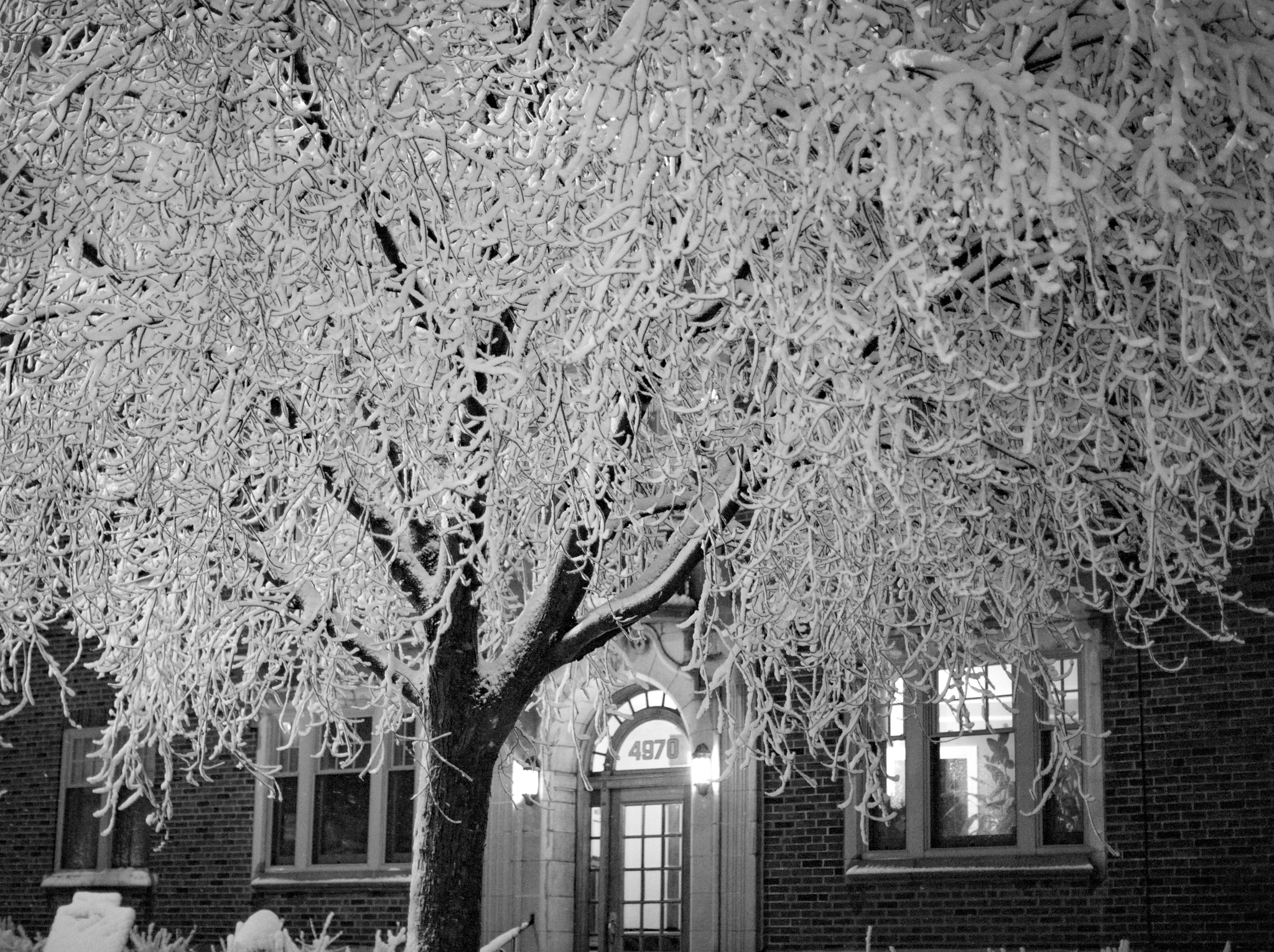 Canon EF 50mm F1.2L USM sample photo. Icy decoration photography