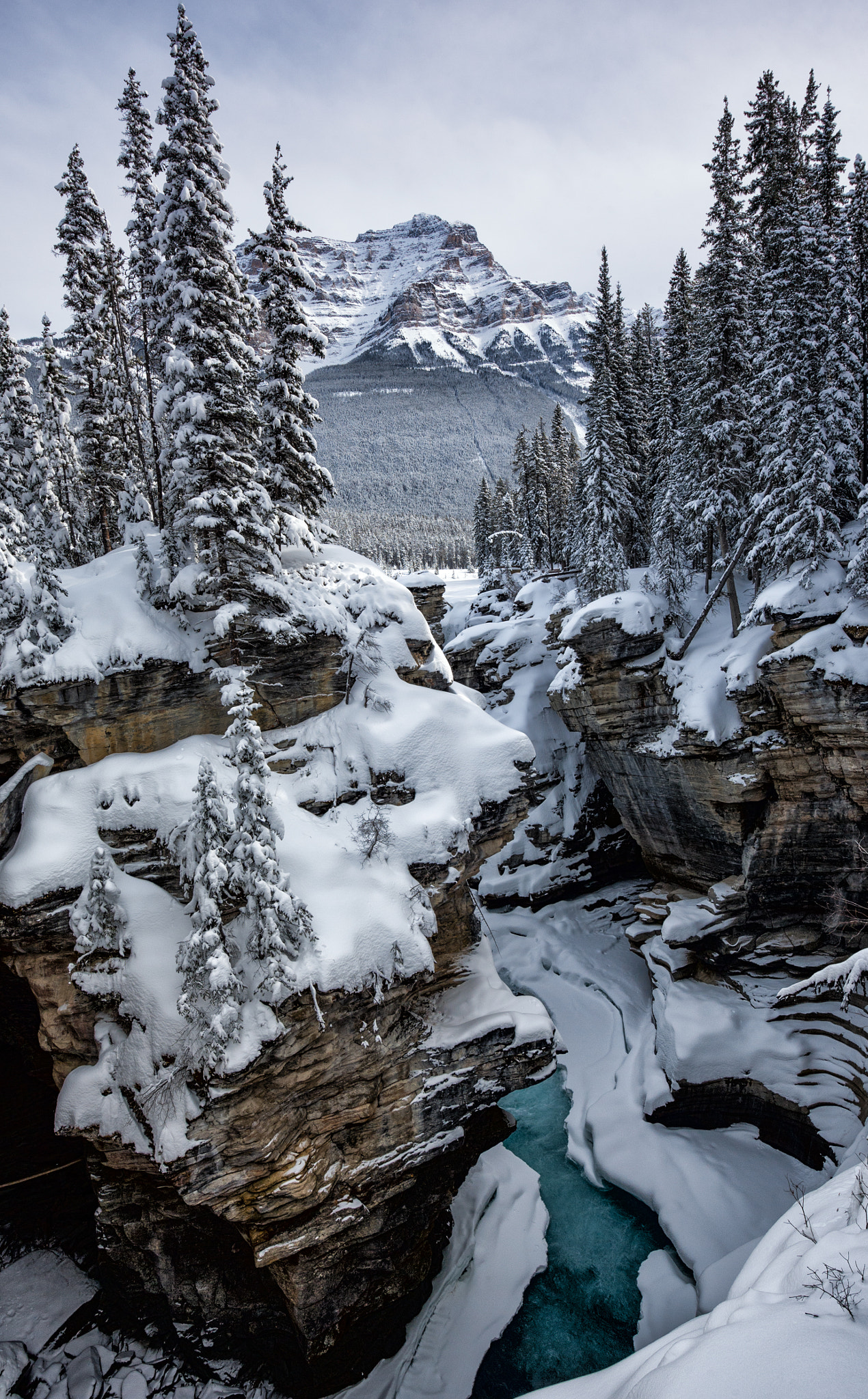 Nikon Df + Nikon AF-S Nikkor 16-35mm F4G ED VR sample photo. The contrasts of winter photography