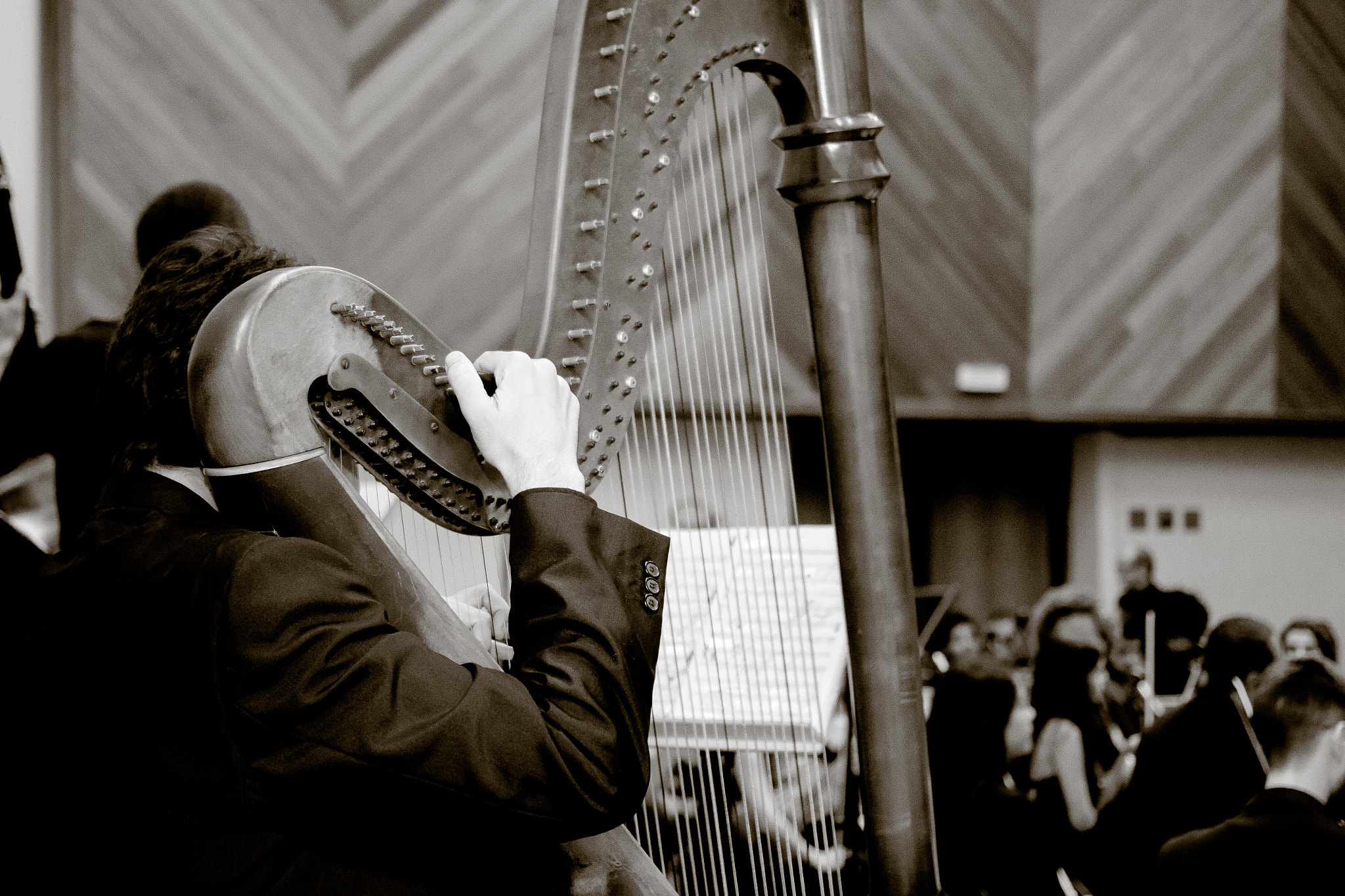 Canon EOS 70D + Canon EF 40mm F2.8 STM sample photo. Musica ufmg photography