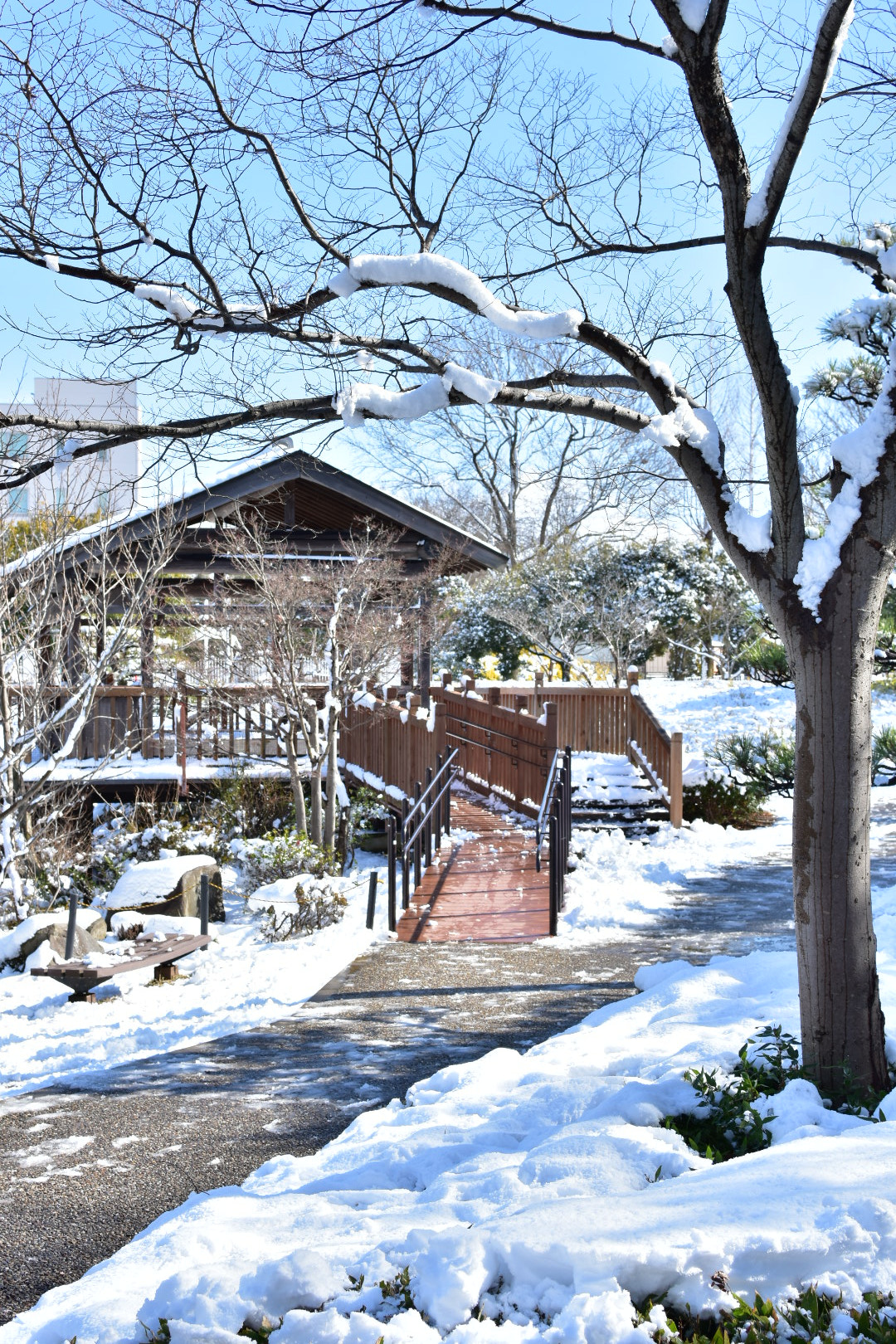 Nikon AF-S DX Nikkor 35mm F1.8G sample photo. Winter  photography