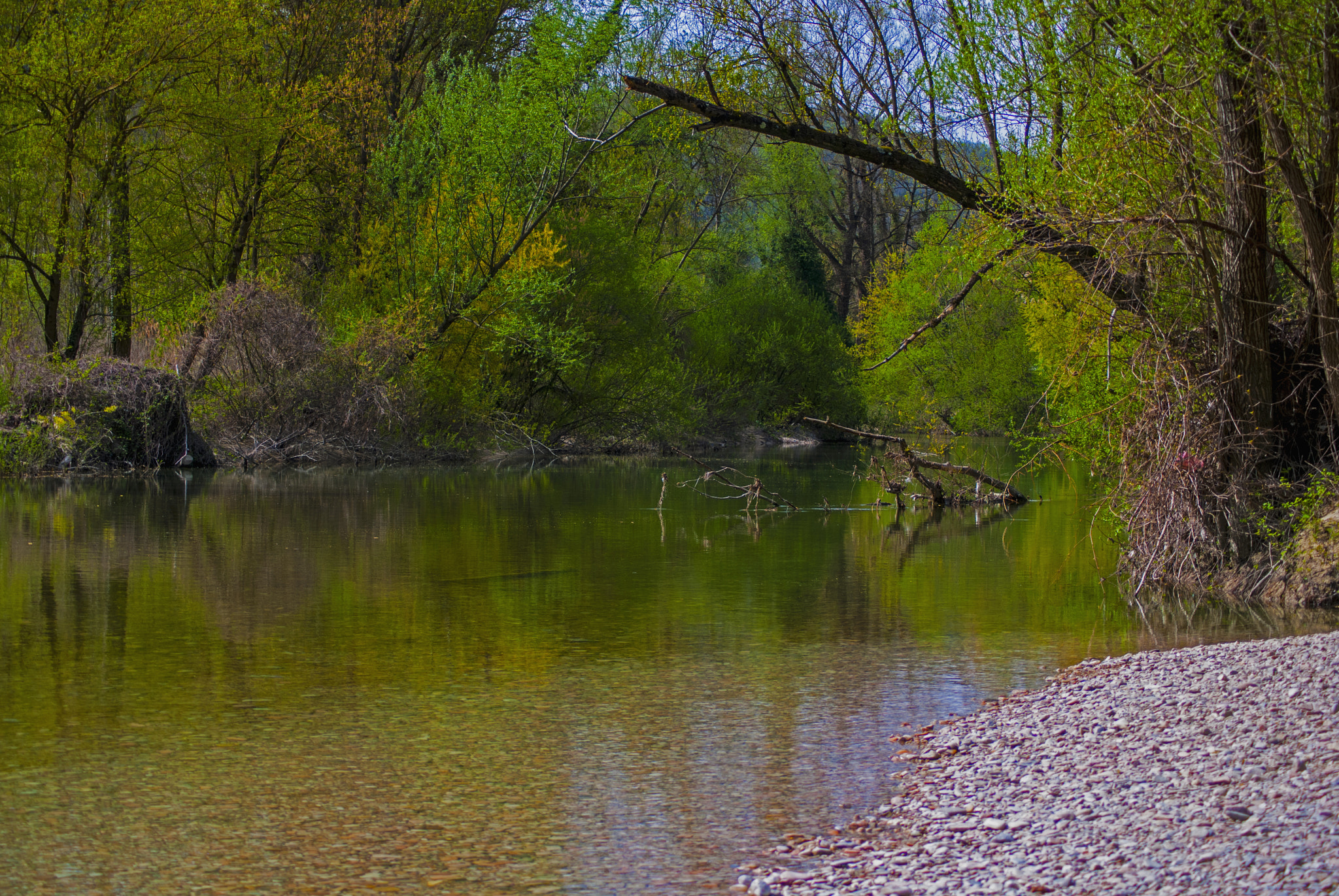 Nikon D80 sample photo. Passo del furlo  photography