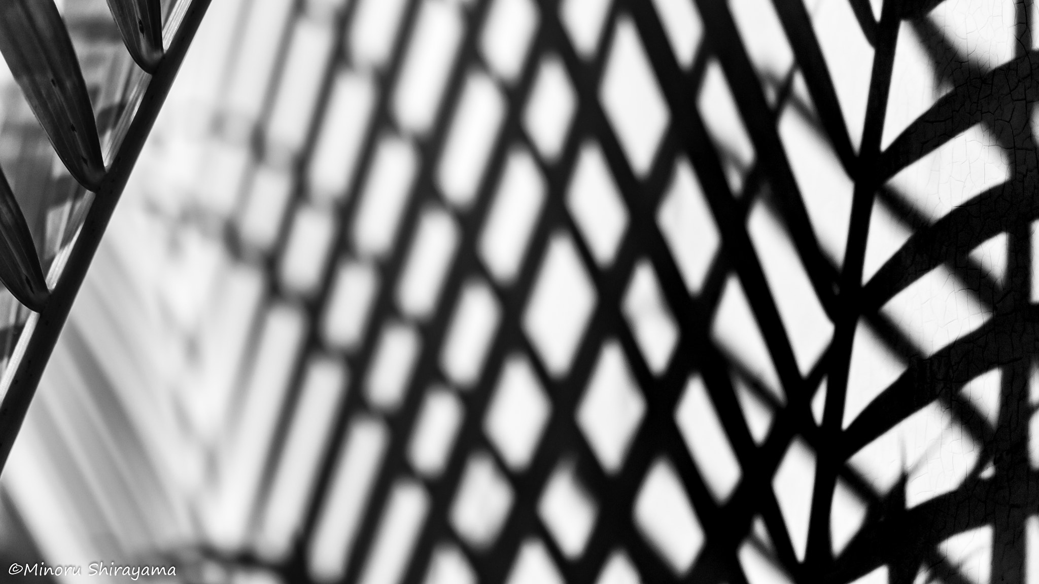 Sigma 105mm F2.8 EX DG OS HSM sample photo. Shadow pattern photography