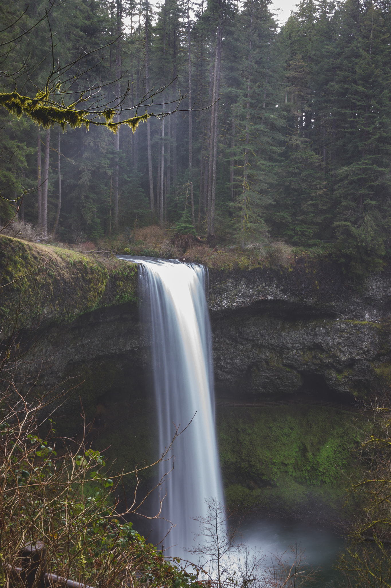 Canon EOS 550D (EOS Rebel T2i / EOS Kiss X4) sample photo. Silver falls photography