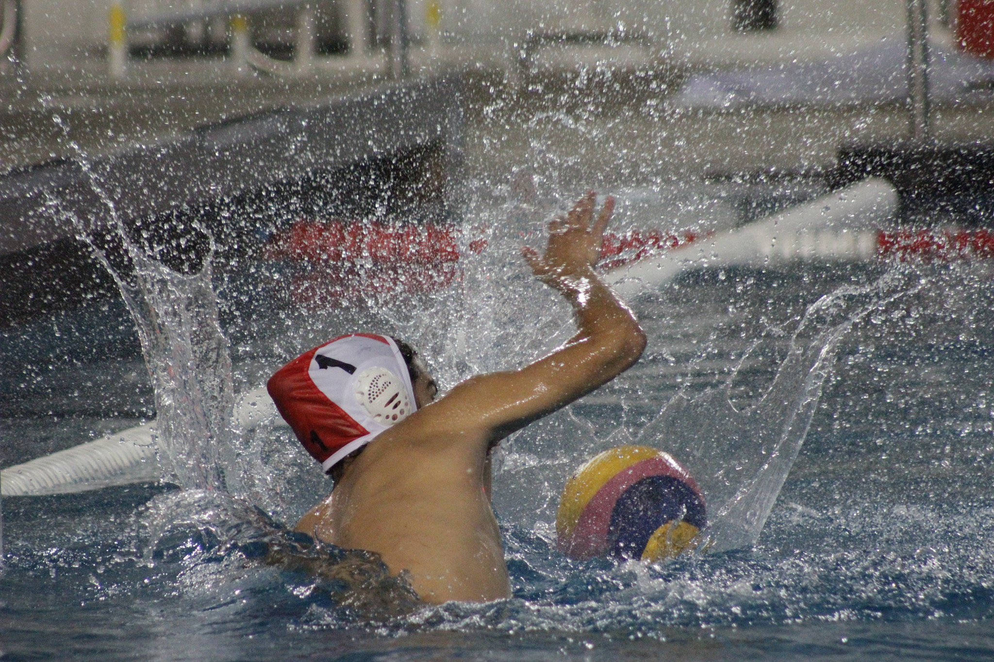 Canon EOS 1200D (EOS Rebel T5 / EOS Kiss X70 / EOS Hi) + EF75-300mm f/4-5.6 sample photo. #1 photography