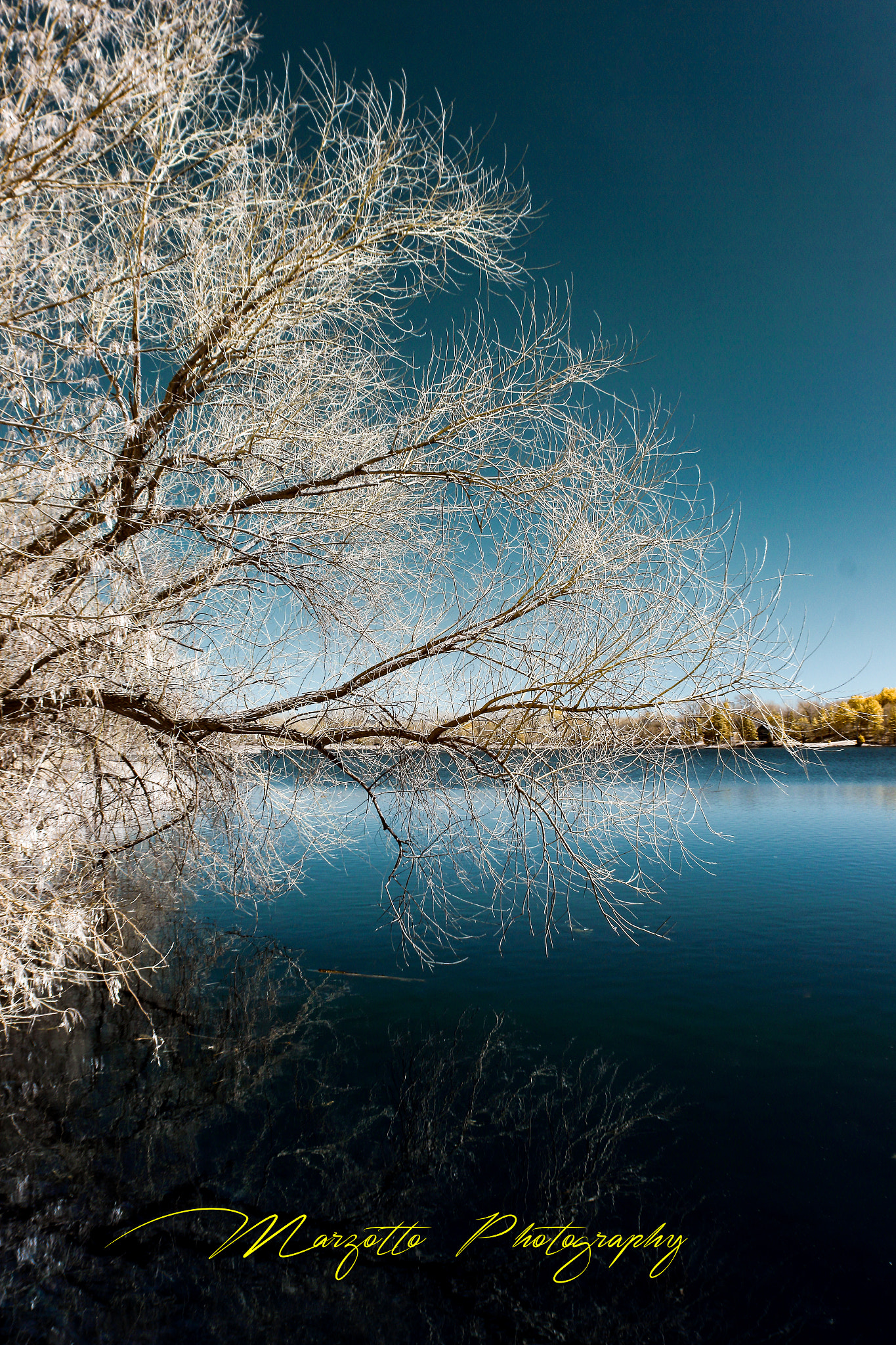 Canon EF 20mm F2.8 USM sample photo. Protuding to catch the warm of the sun photography