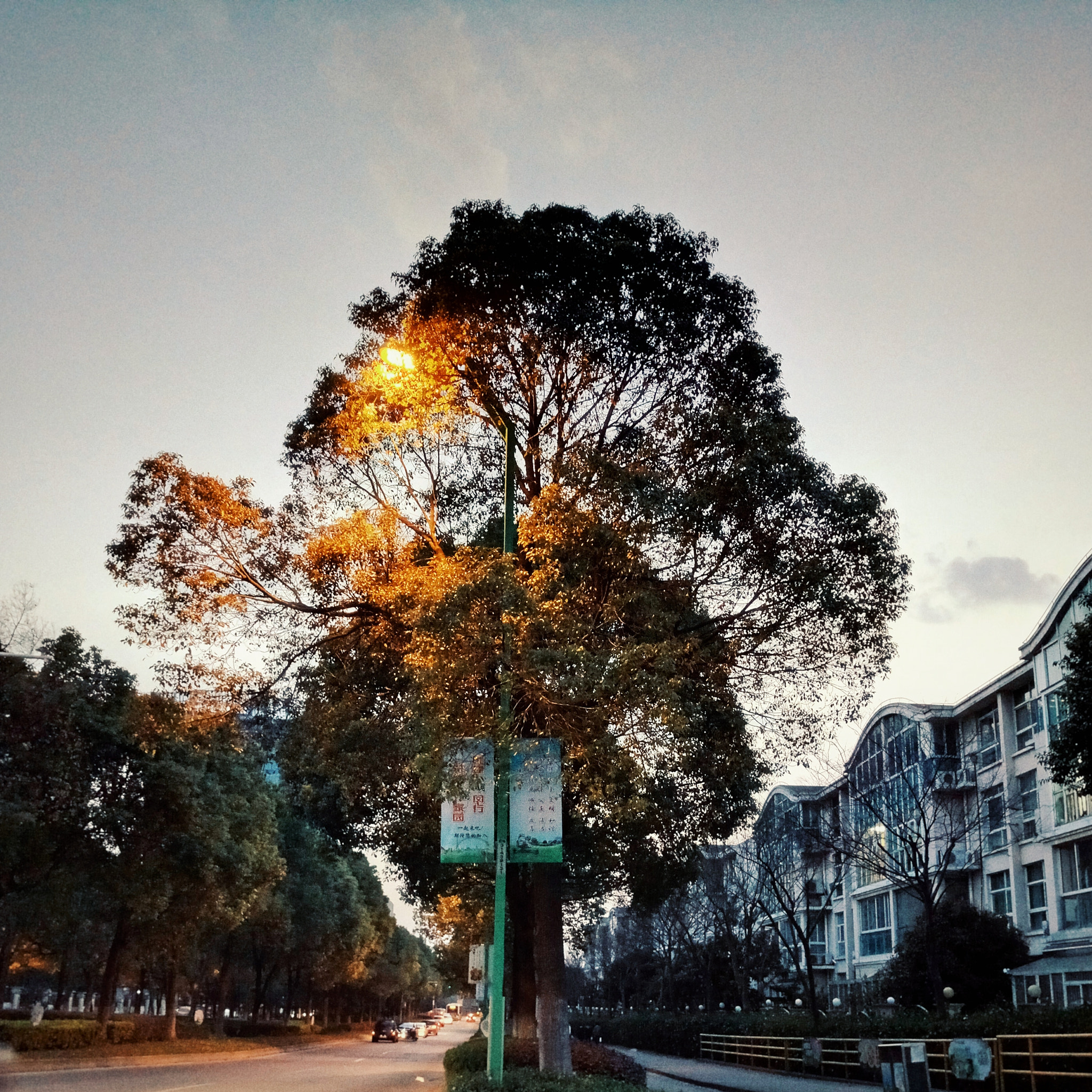 Meizu PRO 6 sample photo