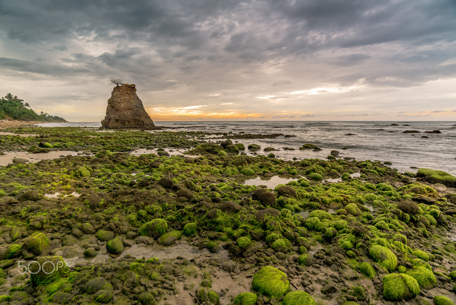 Nikon AF-S Nikkor 18-35mm F3.5-4.5G ED sample photo. Batu luang photography