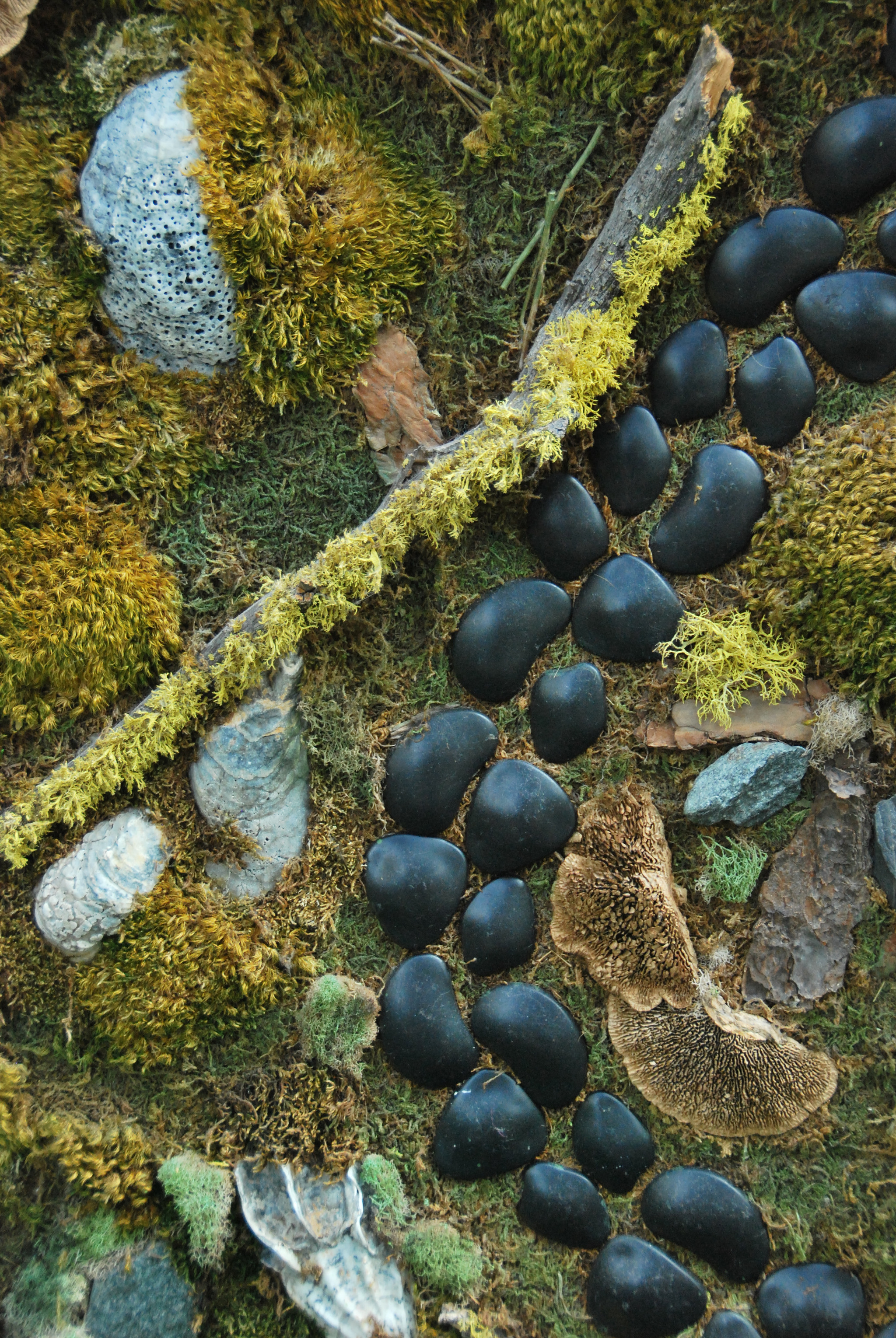 Nikon D60 sample photo. Pathway photography