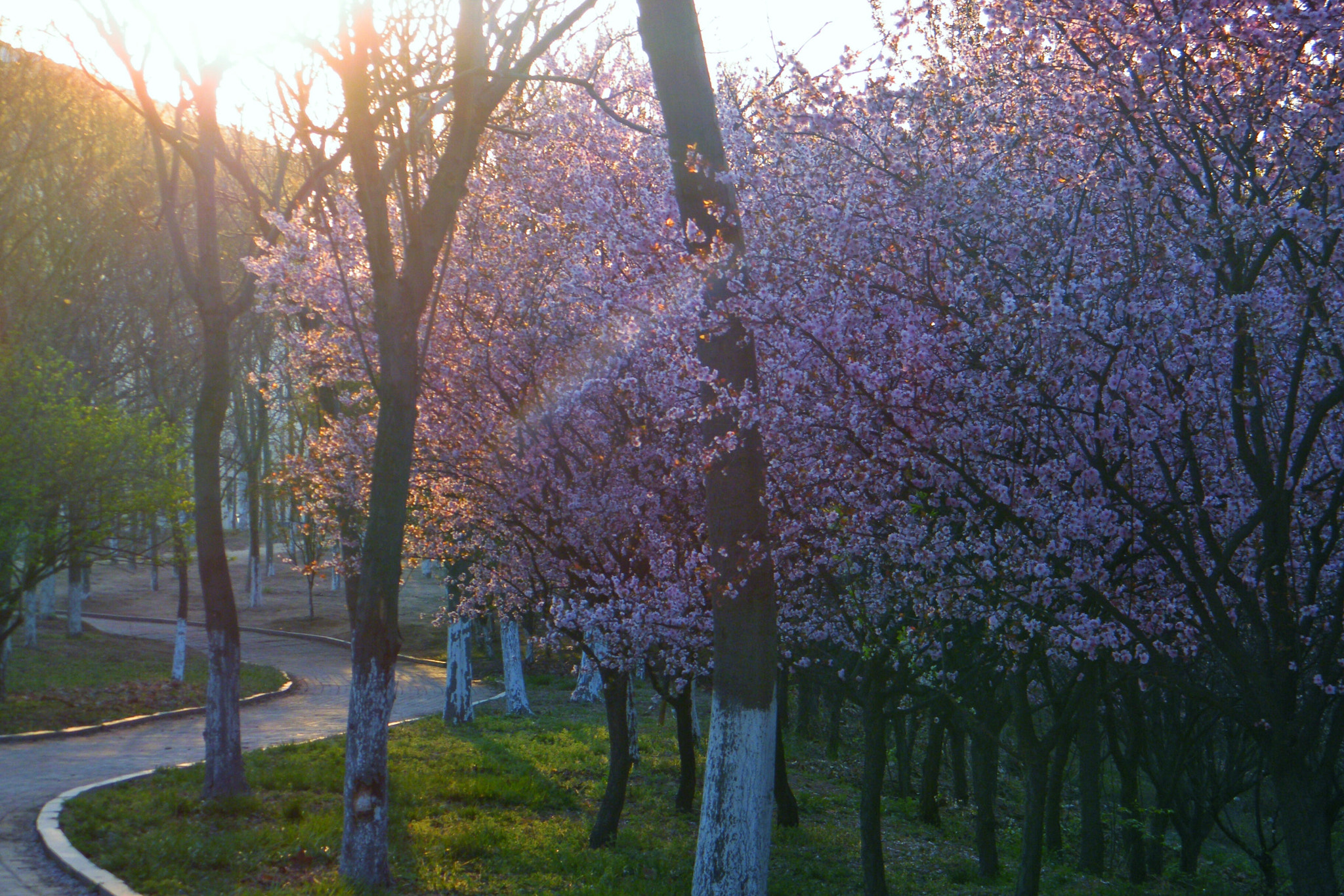 Fujifilm FinePix S2000HD sample photo