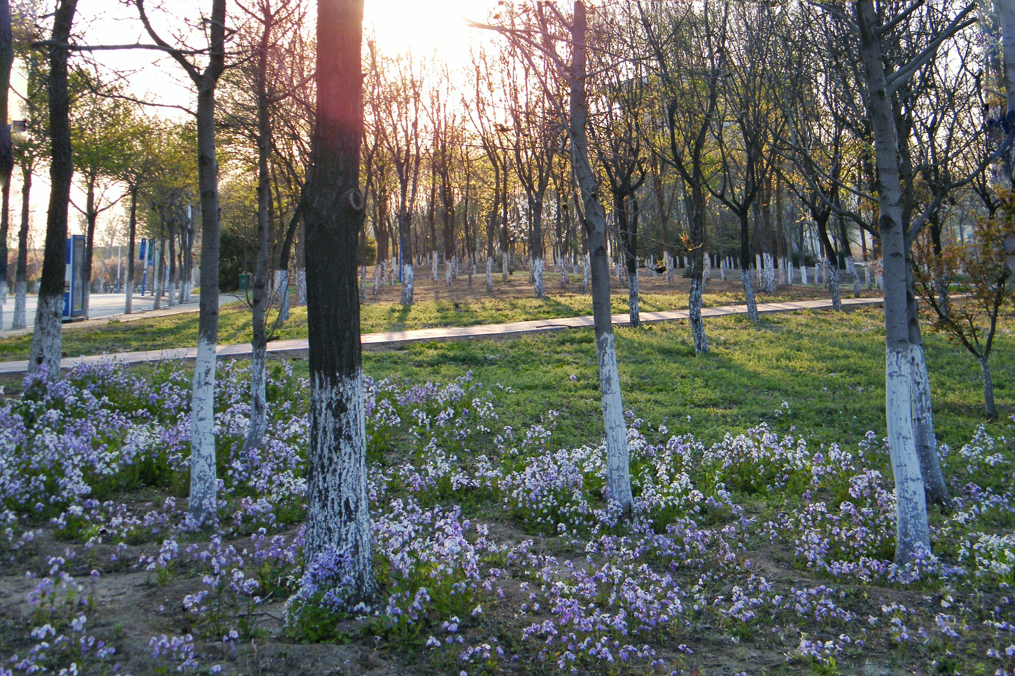 Fujifilm FinePix S2000HD sample photo