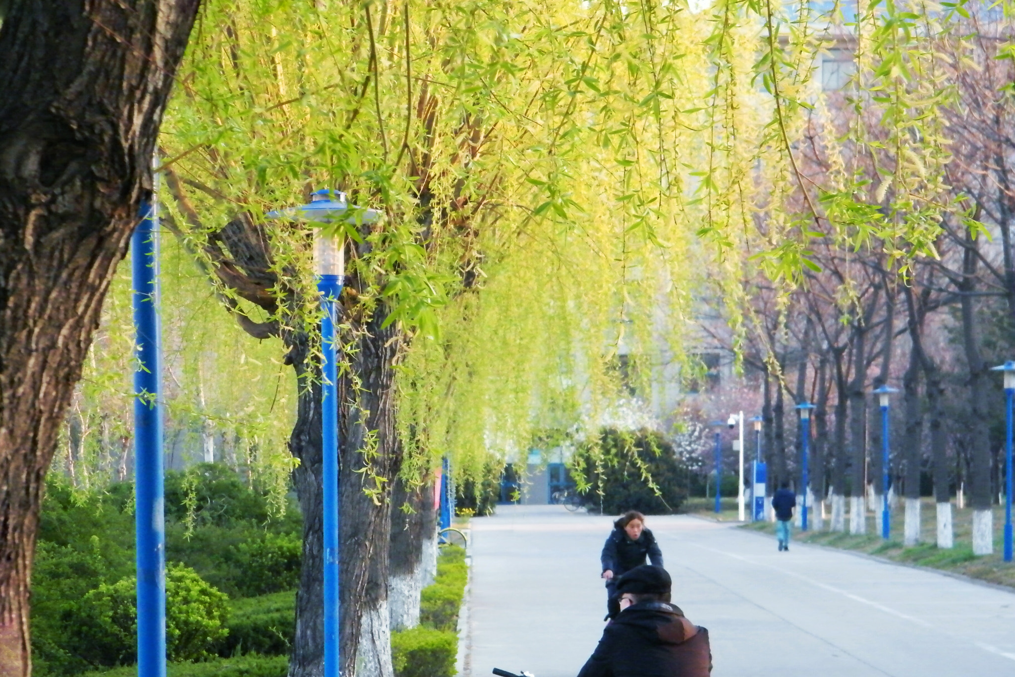 Fujifilm FinePix S2000HD sample photo