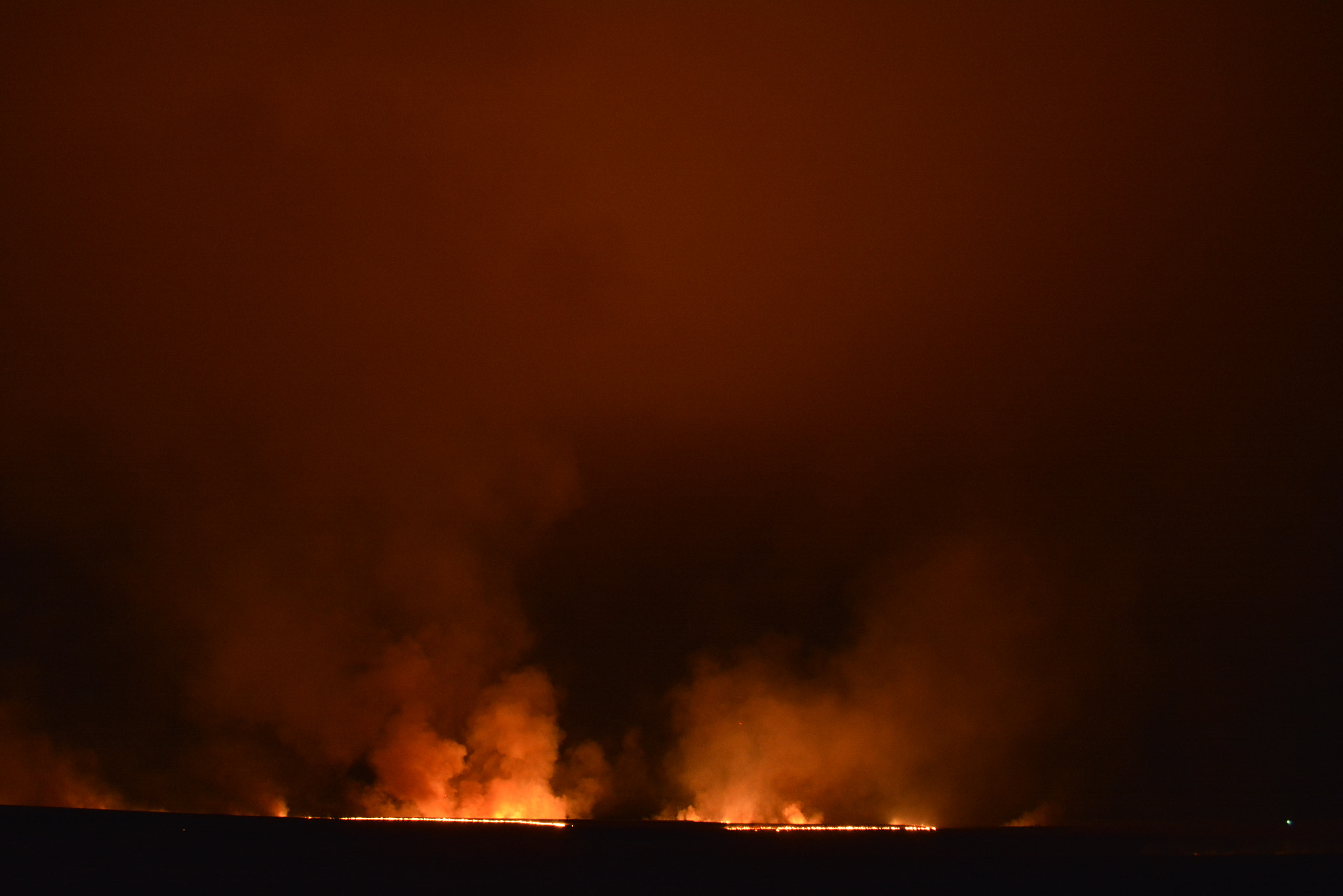 Nikon D7100 sample photo. Night burn photography