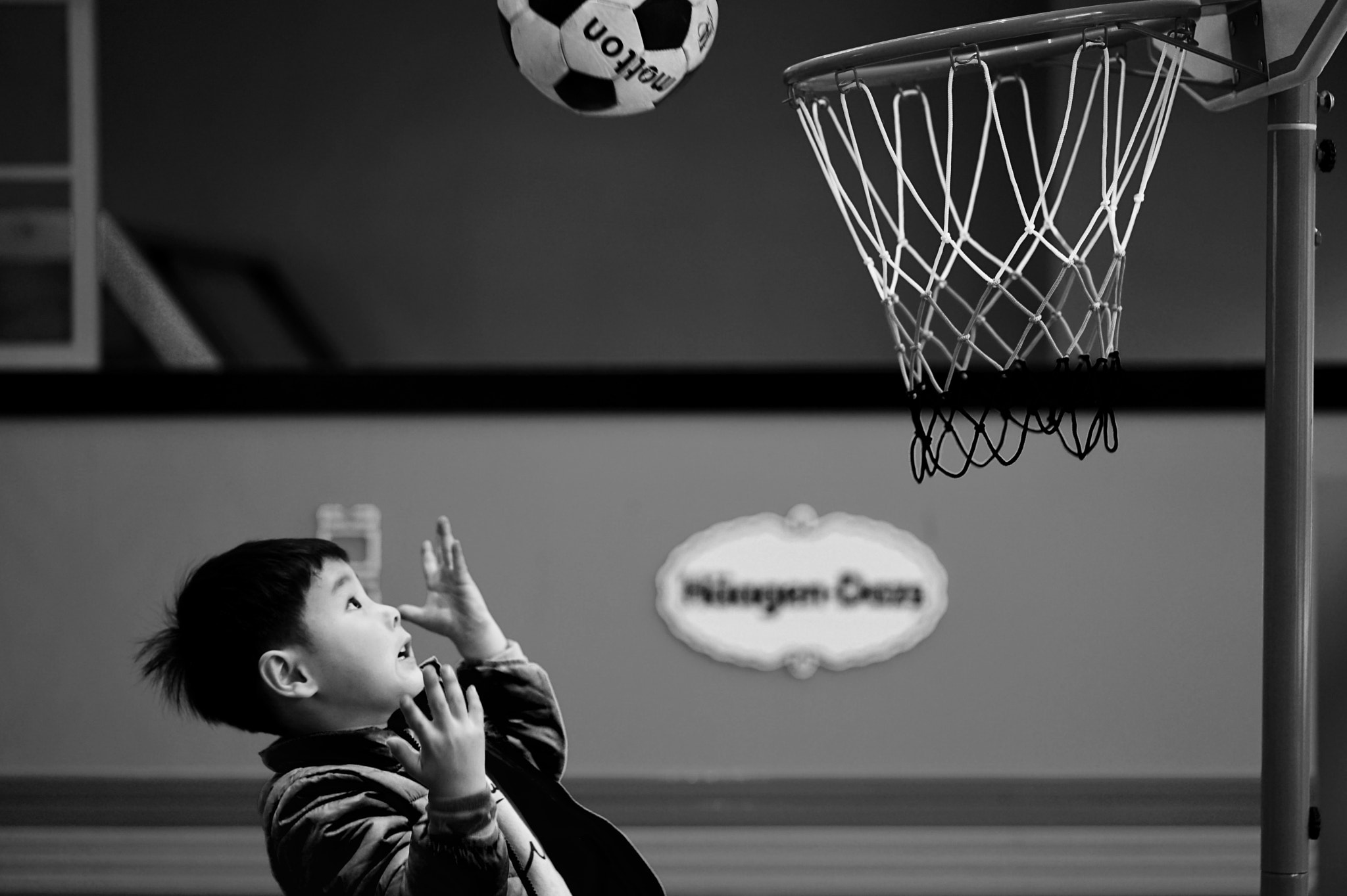 ZEISS Batis 85mm F1.8 sample photo