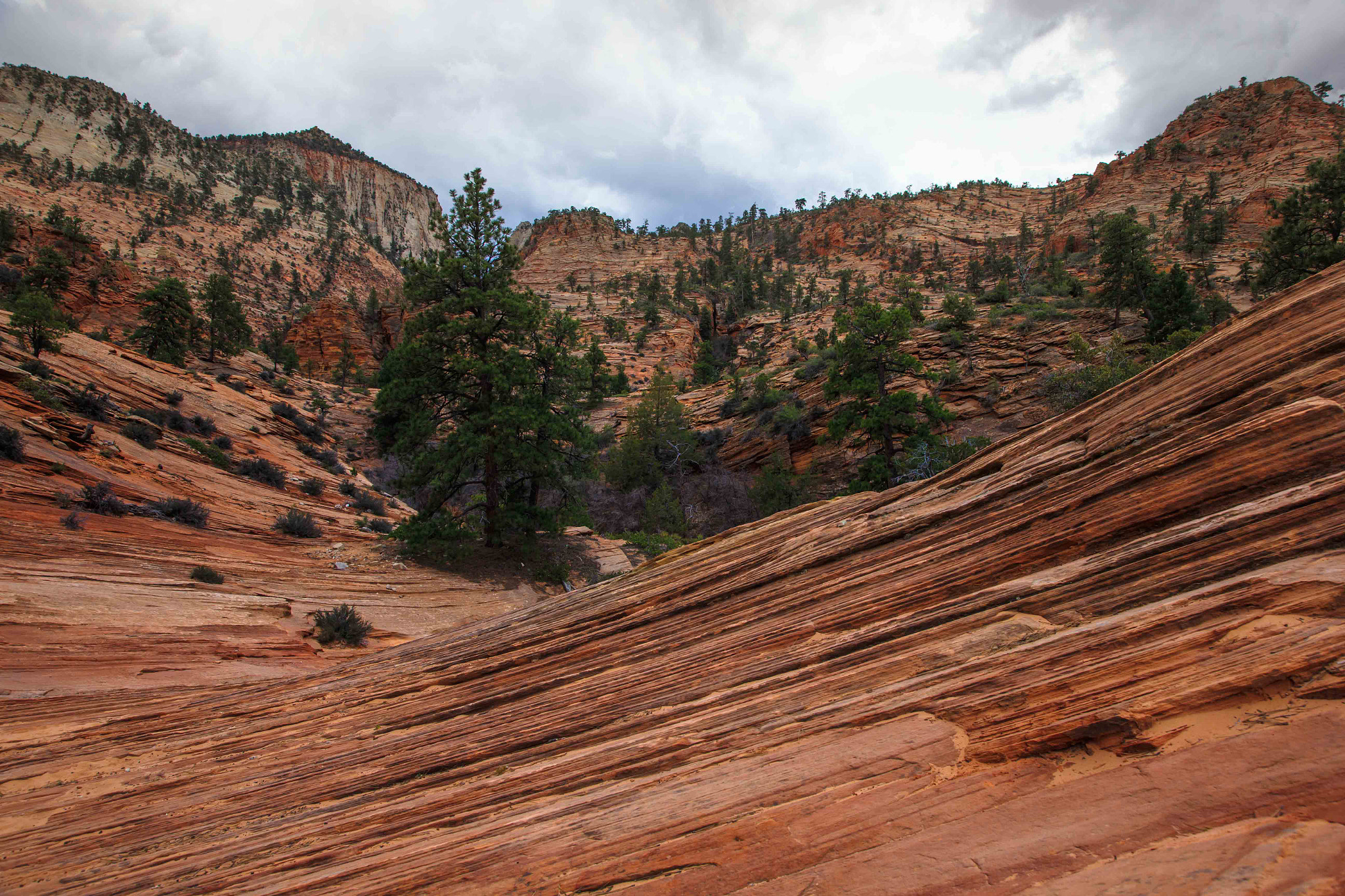 Canon EOS-1D X sample photo. Like another planet photography