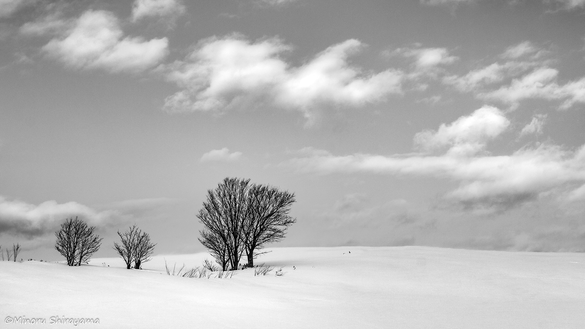 Canon EOS 700D (EOS Rebel T5i / EOS Kiss X7i) sample photo. Hill tree photography
