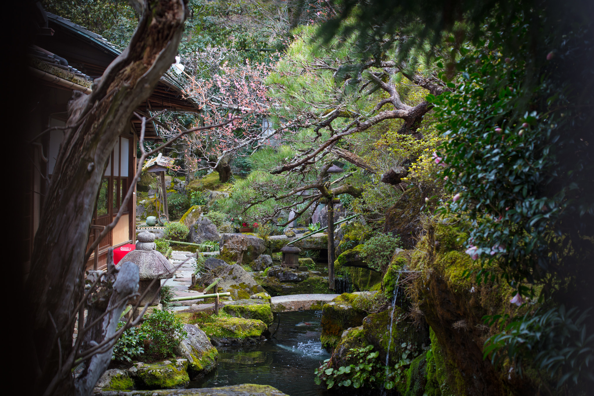 Canon EOS 5DS R sample photo. A photography