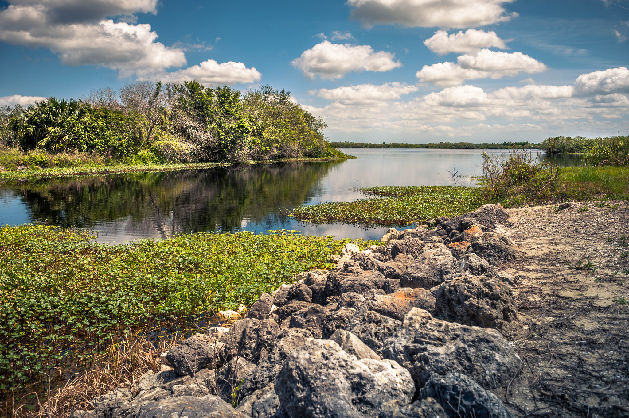 Nikon D700 + AF Nikkor 28mm f/2.8 sample photo. Blue cypress lake photography