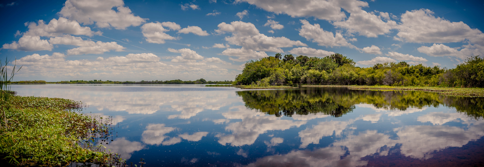 Nikon D700 sample photo. Blue cypress lake photography