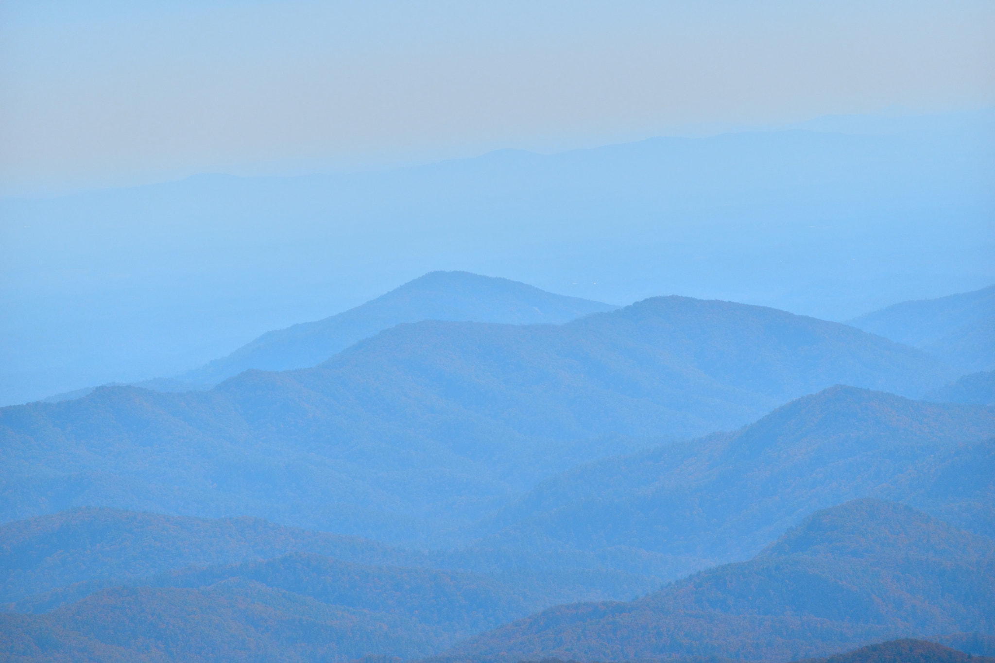 Nikon D5500 sample photo