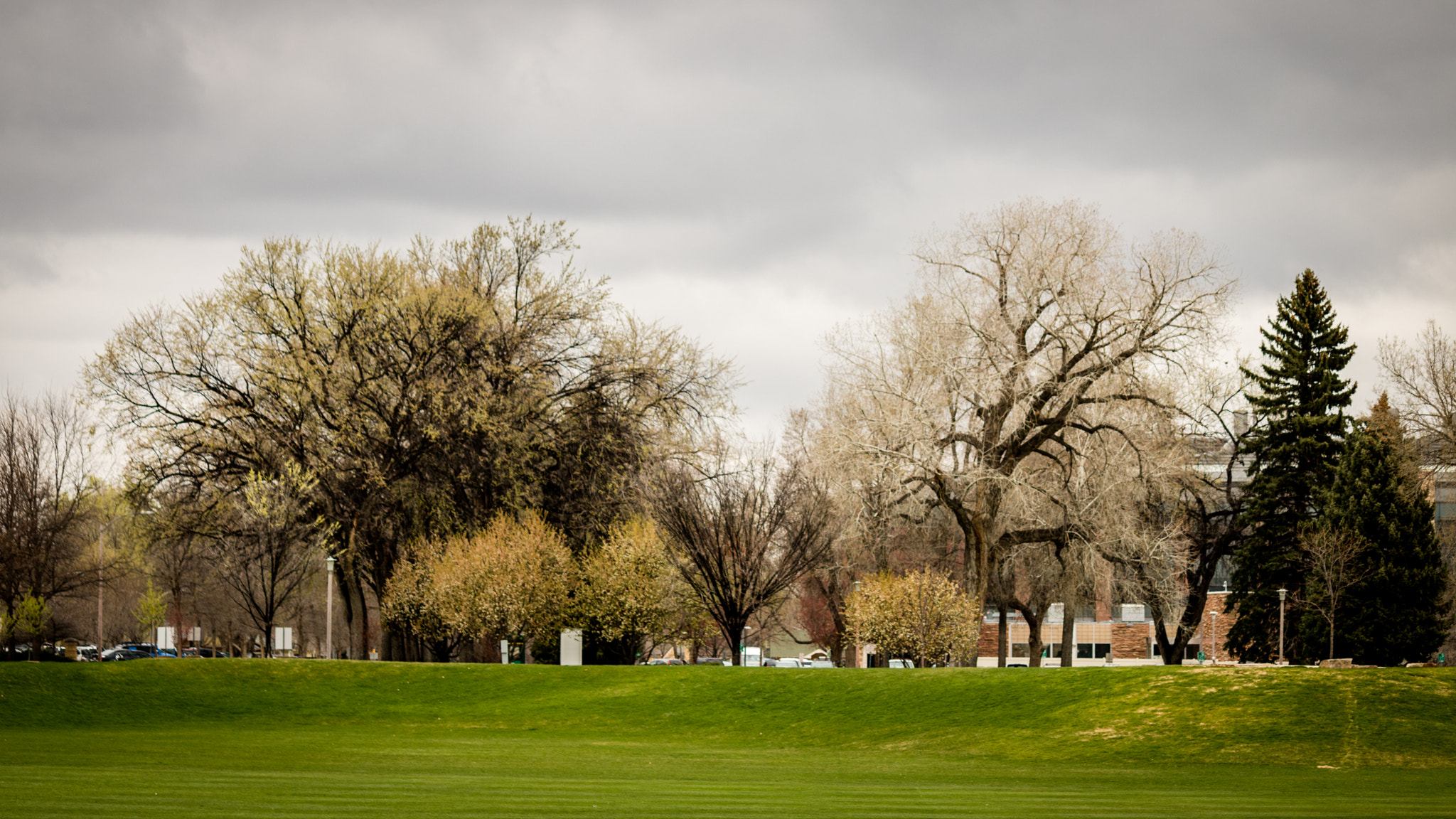 Canon EOS 750D (EOS Rebel T6i / EOS Kiss X8i) sample photo. Intramural fields photography
