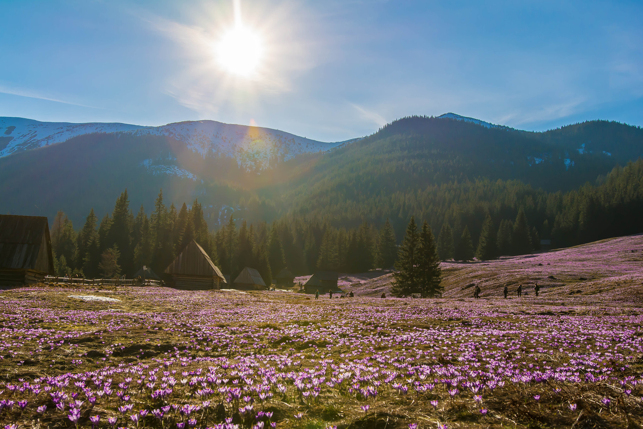 Nikon D7100 + Sigma 18-35mm F1.8 DC HSM Art sample photo. Dsc photography