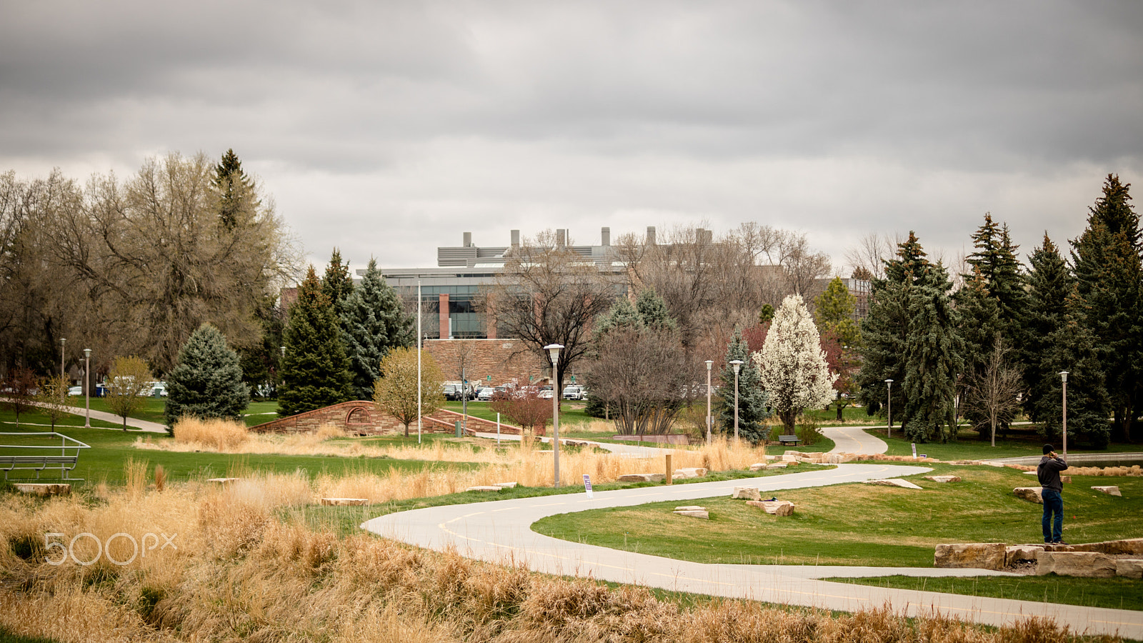 Canon EOS 750D (EOS Rebel T6i / EOS Kiss X8i) sample photo. Intramural fields photography