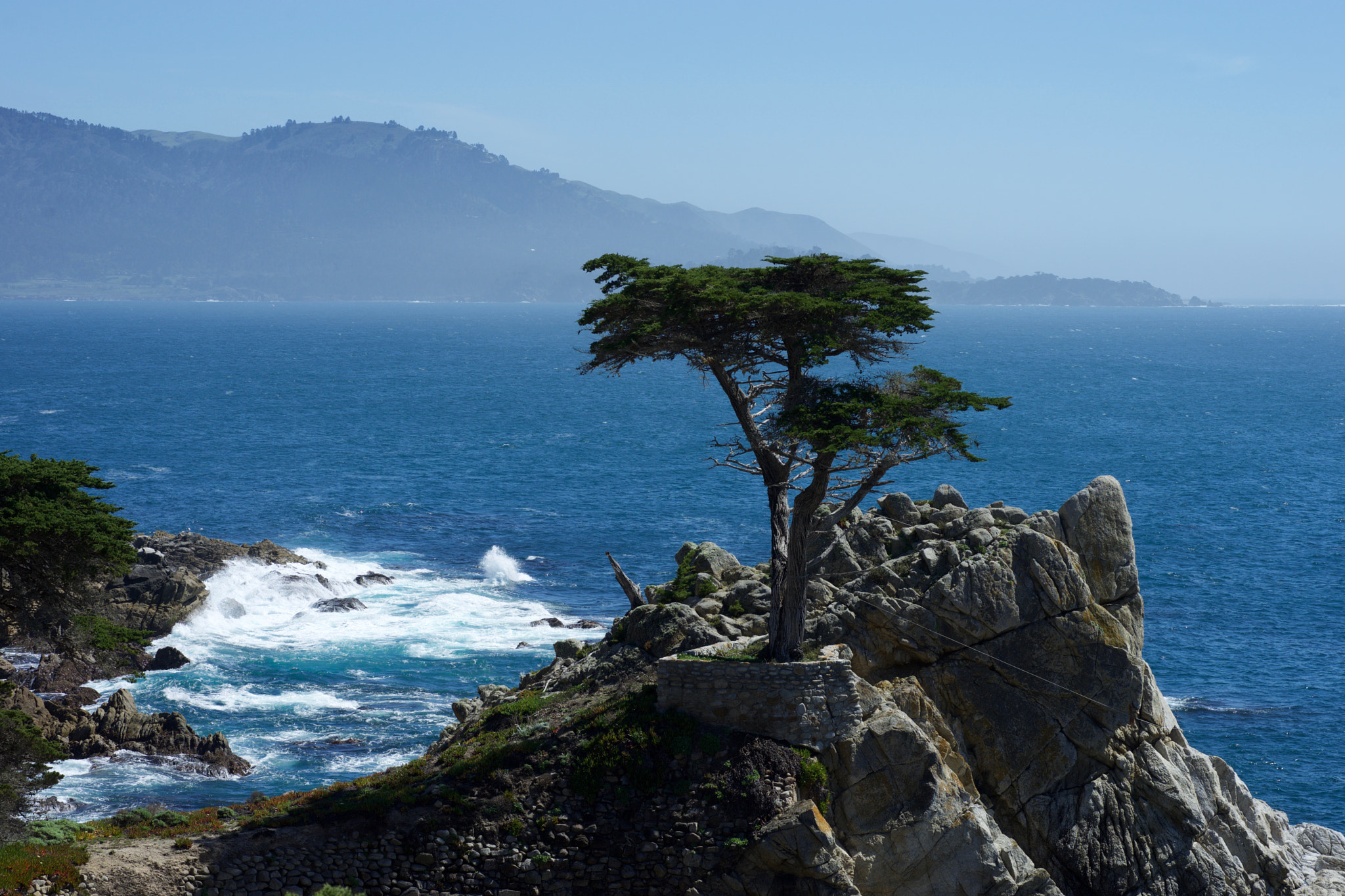 Sony a7 sample photo. Lone cypress photography