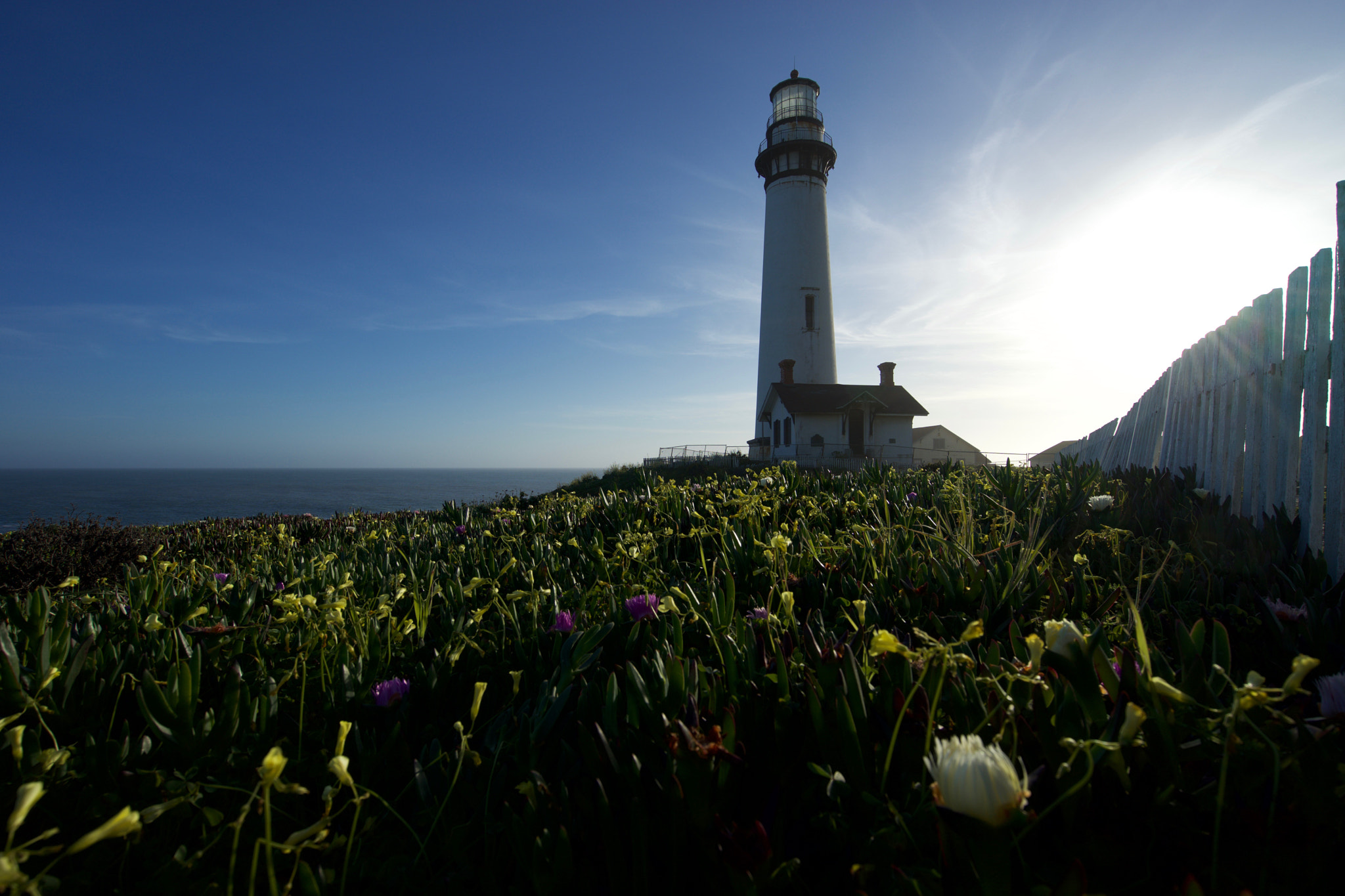 Sony Vario-Tessar T* FE 16-35mm F4 ZA OSS sample photo. Pigeon point lighthouse photography