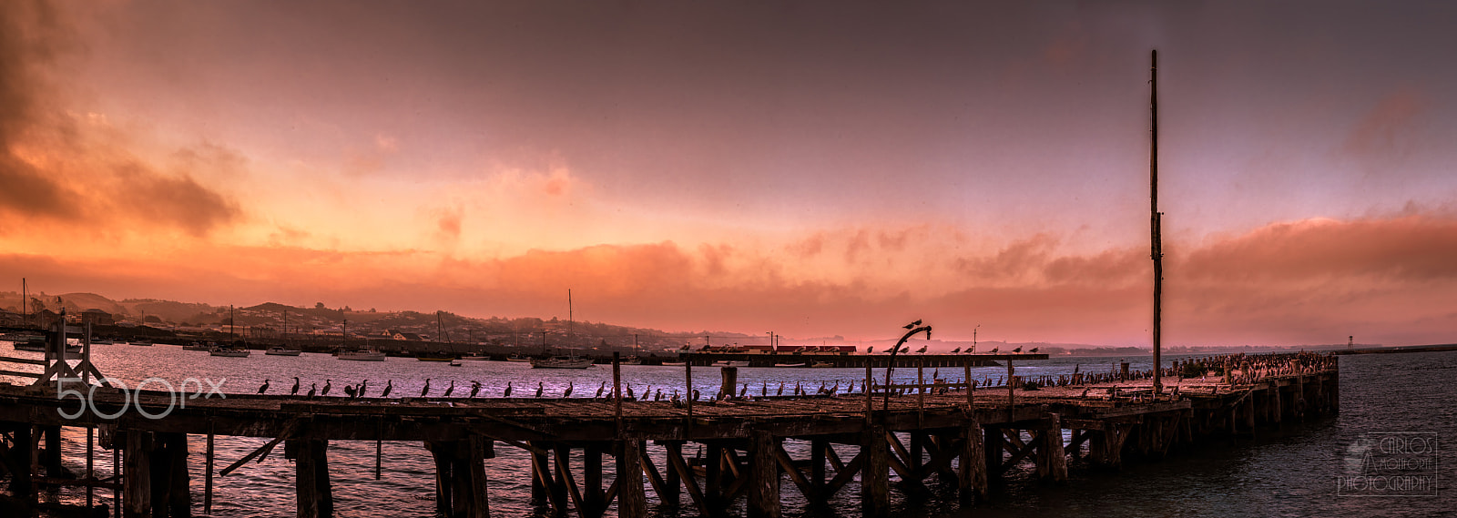 Canon EOS-1D X Mark II sample photo. Waitng for the sunset in oamaru's old jetty photography