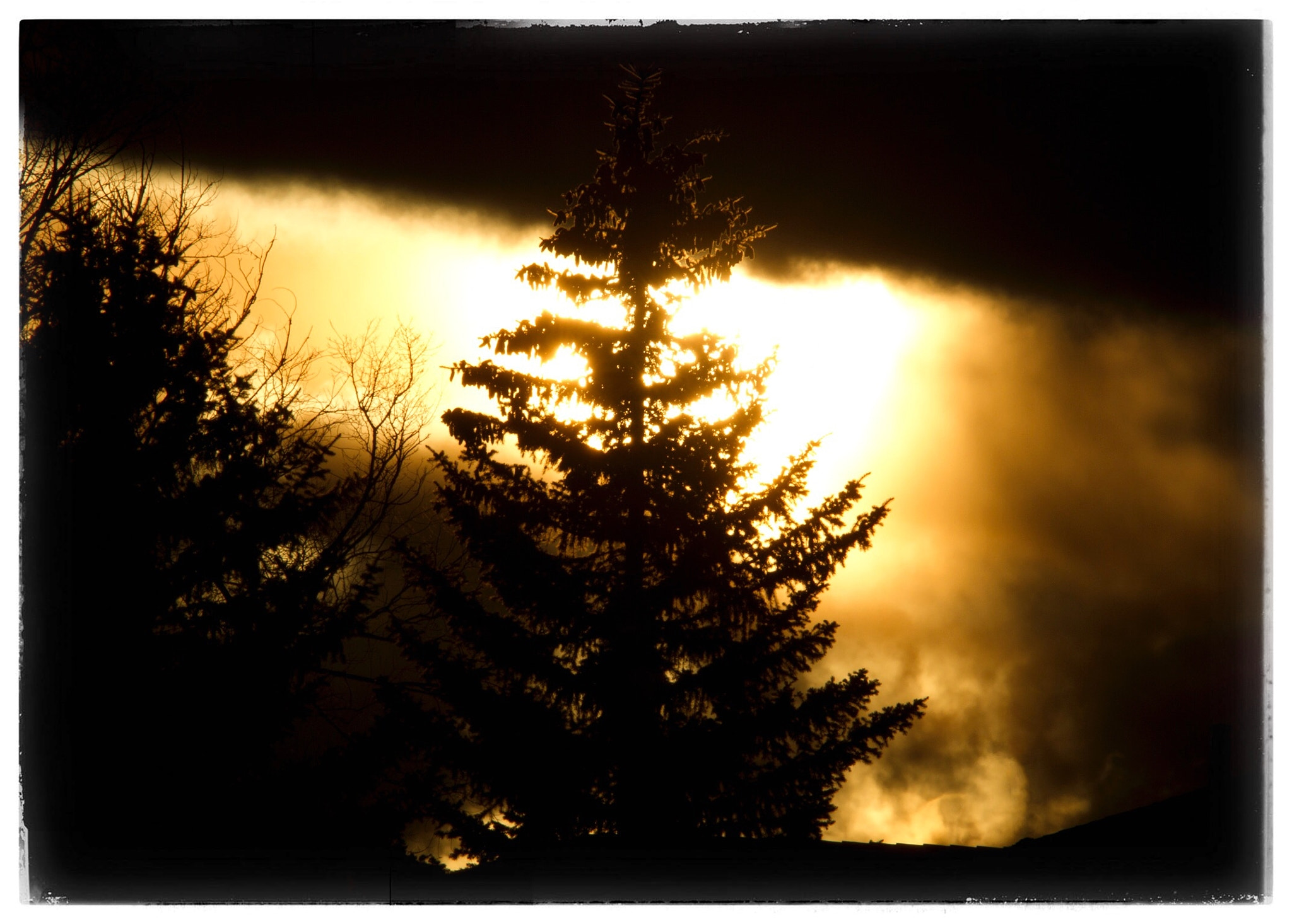 Canon EOS 7D sample photo. Pine tree before the storm at sunset. photography
