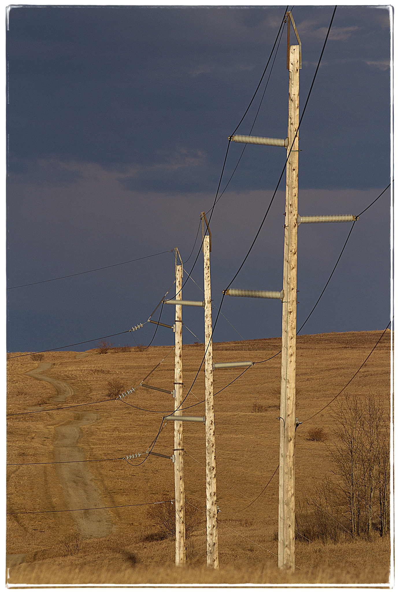 150-600mm F5-6.3 DG OS HSM | Contemporary 015 sample photo. Power lines on the prairie. photography