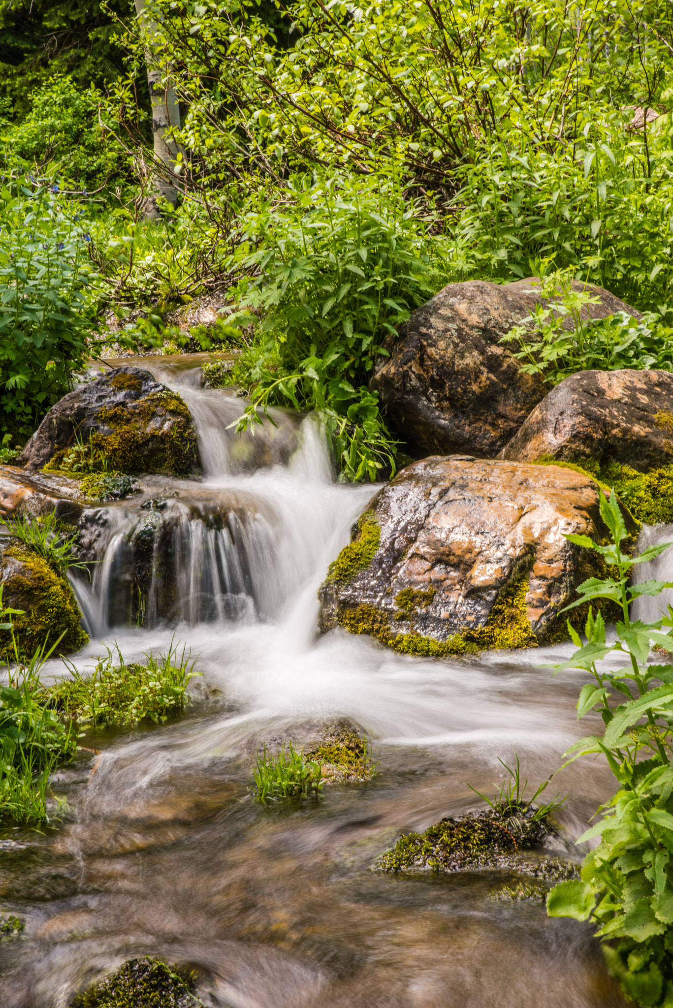 Nikon D810 sample photo. Between rocks photography