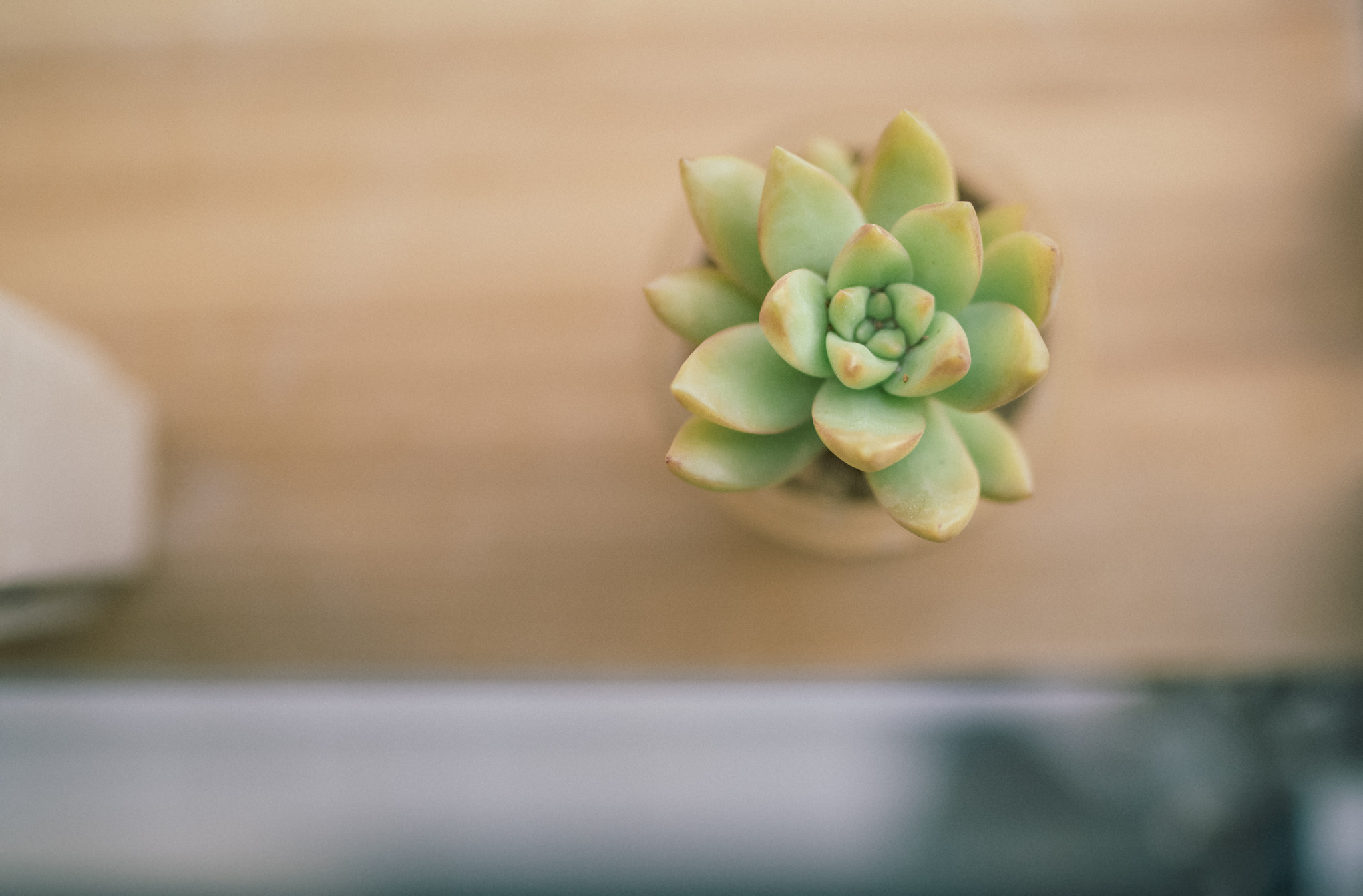 Nikon D800 + Sigma 35mm F1.4 DG HSM Art sample photo. Mini photography