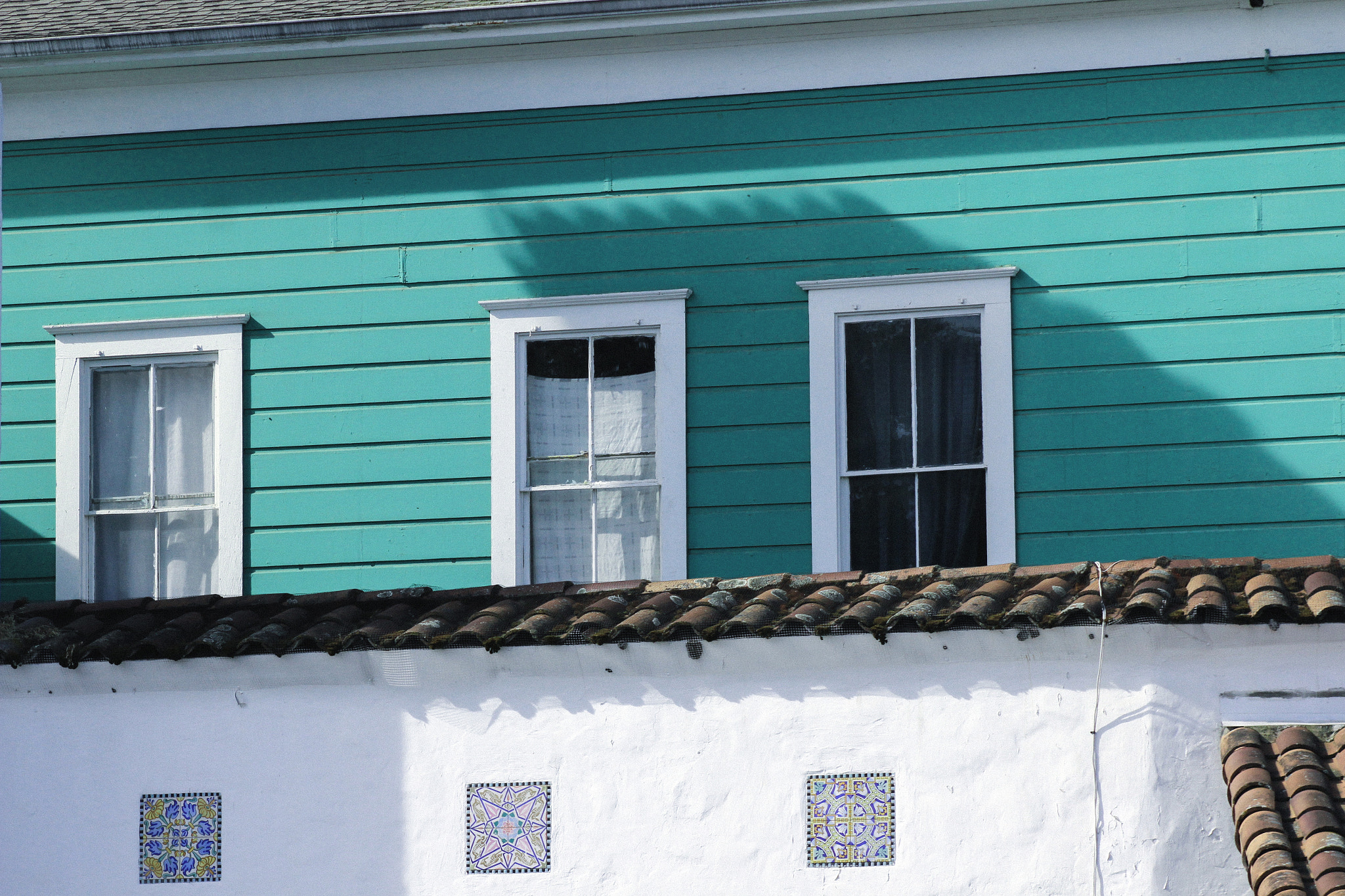 Canon EF 75-300mm f/4-5.6 USM sample photo. Two tones photography