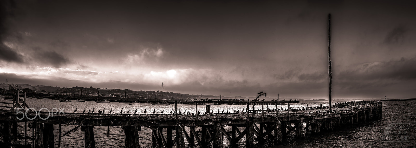 Canon EOS-1D X Mark II sample photo. Sunset in oamaru old jetty b&w version. photography