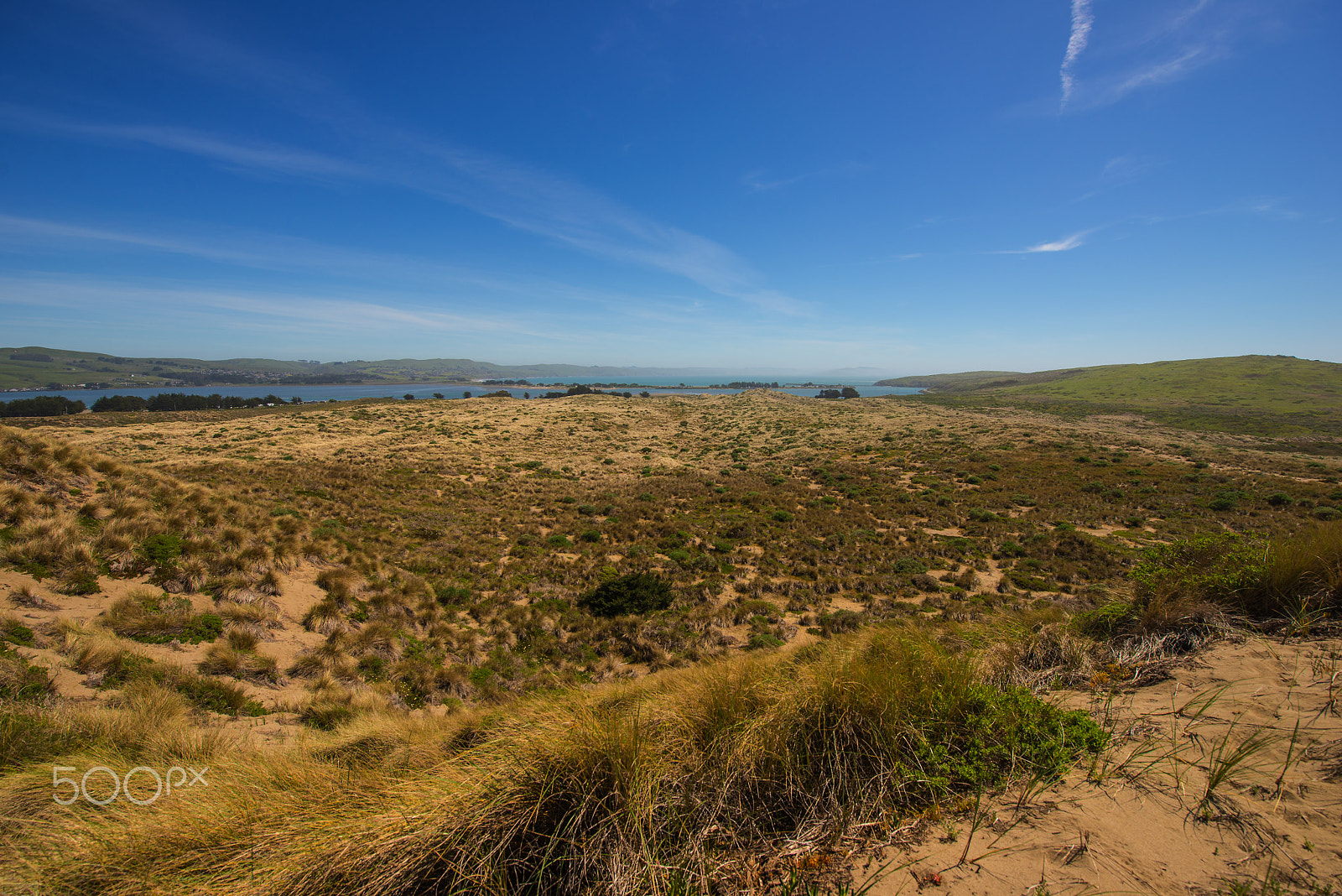 Nikon AF-S Nikkor 14-24mm F2.8G ED sample photo. Bodega bay photography