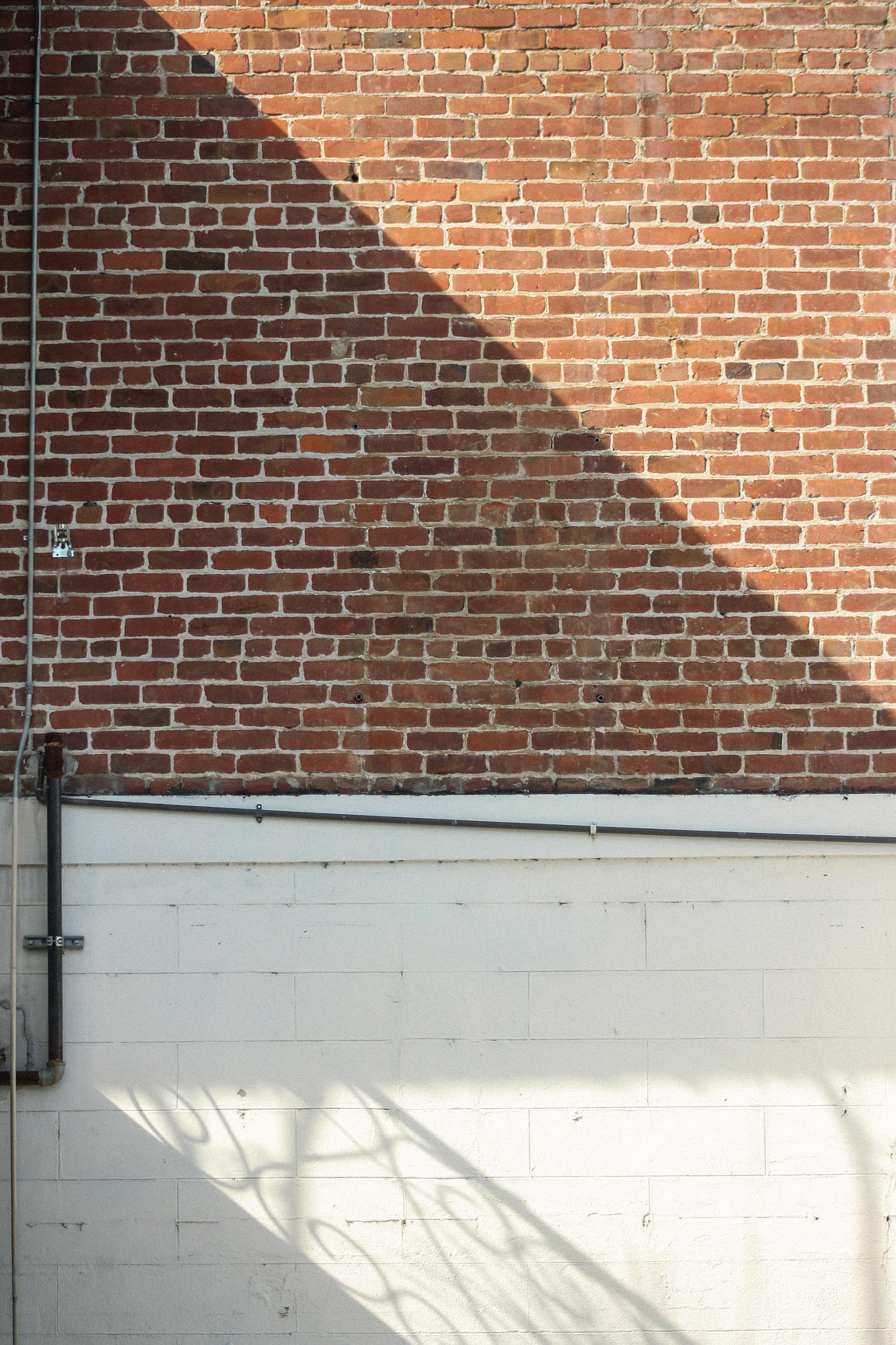 Canon EF 75-300mm f/4-5.6 USM sample photo. Untitled wall photography