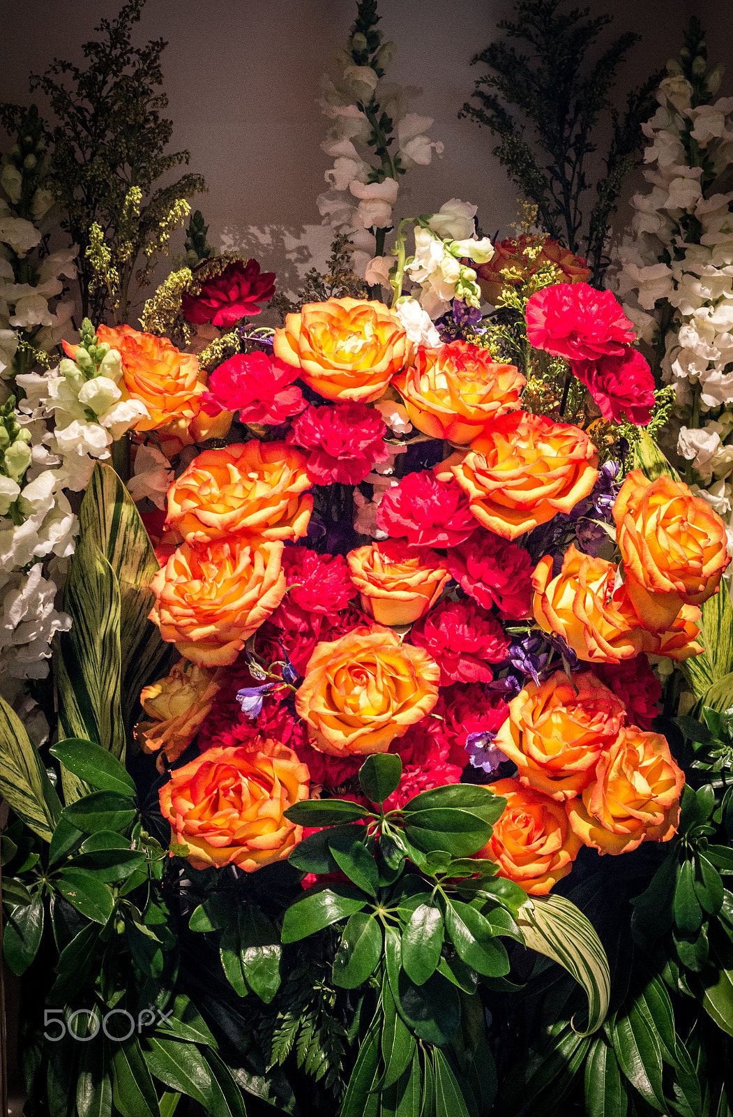 Canon EF 50mm F1.8 II sample photo. Roses galore photography