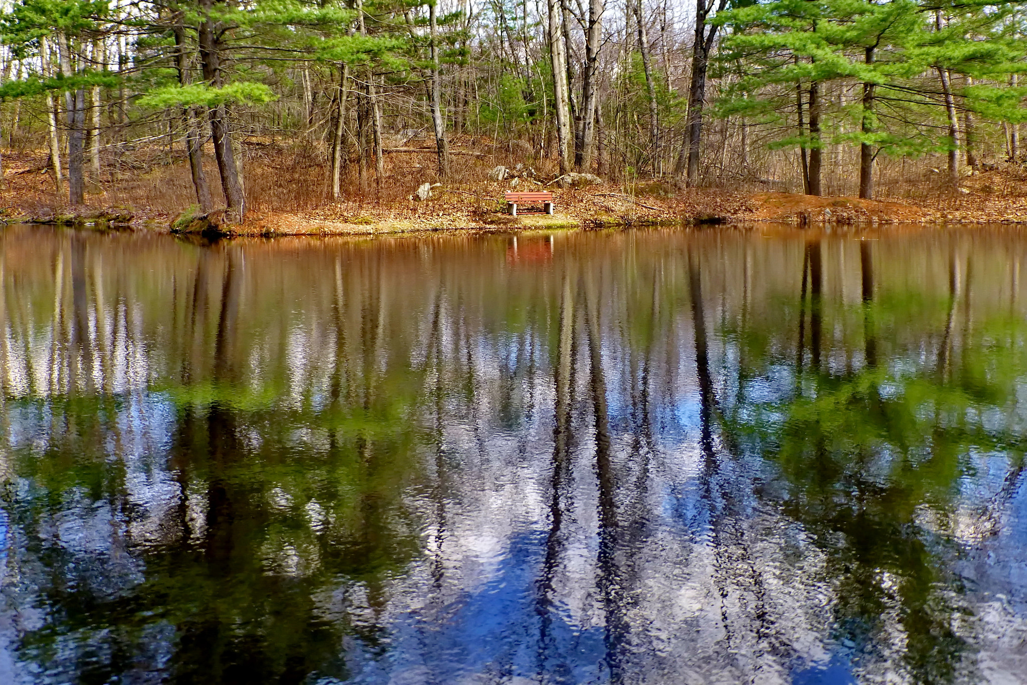 Panasonic DMC-ZS19 sample photo. Spring reflections photography