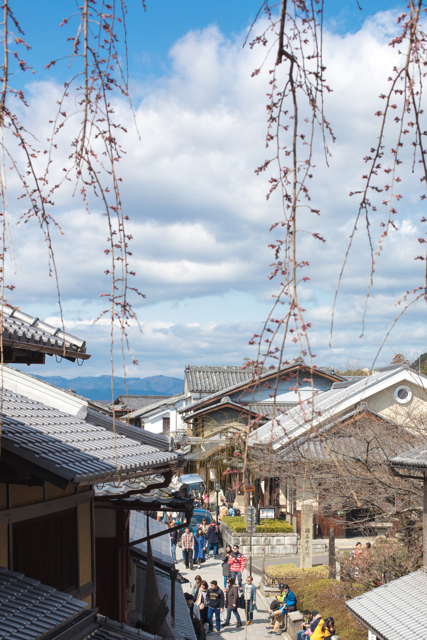 Canon EOS 5DS R sample photo. A photography