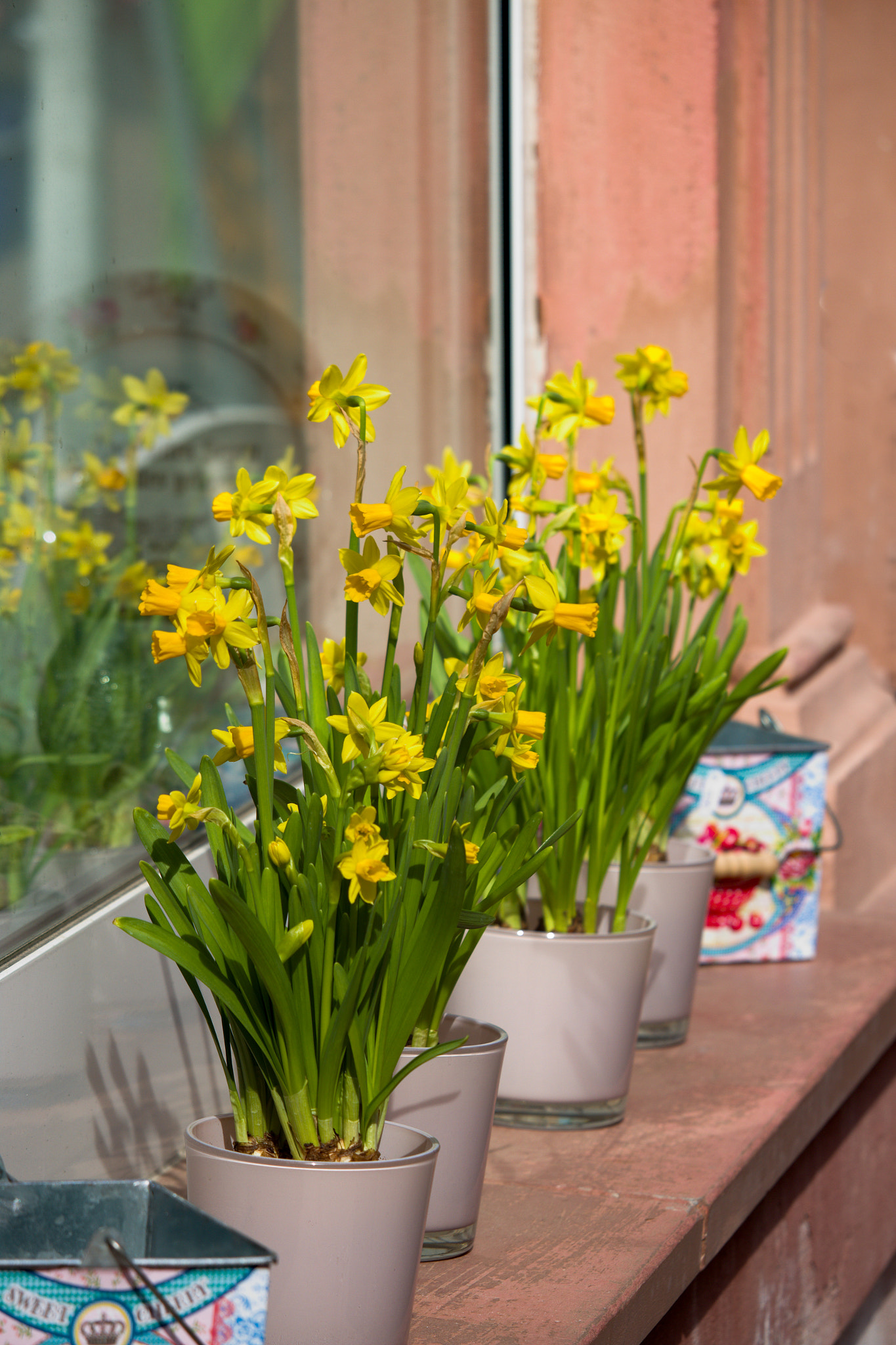 Canon EF-S 55-250mm F4-5.6 IS STM sample photo. Springtime in the city photography