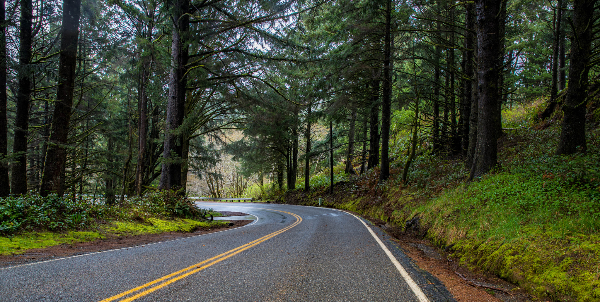Nikon D750 sample photo. A lonely oregon road. photography