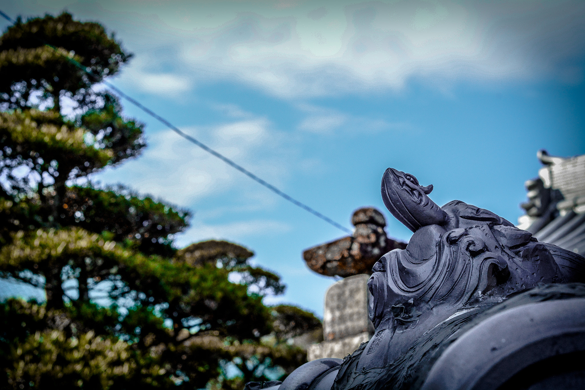 Nikon D7100 + Nikon AF Nikkor 50mm F1.8D sample photo. Haru matsuri photography