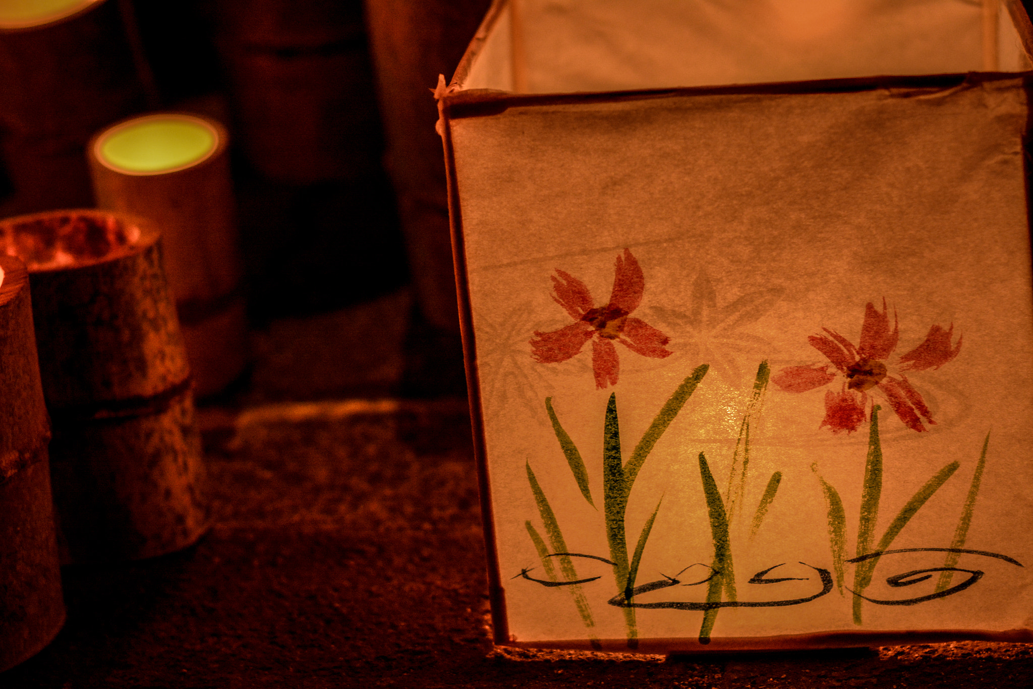 Nikon D7100 + Nikon AF Nikkor 50mm F1.8D sample photo. Haru matsuri lantern display photography