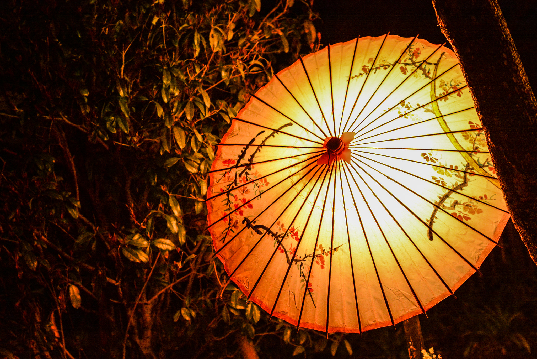 Nikon D7100 + Nikon AF Nikkor 50mm F1.8D sample photo. Haru matsuri photography