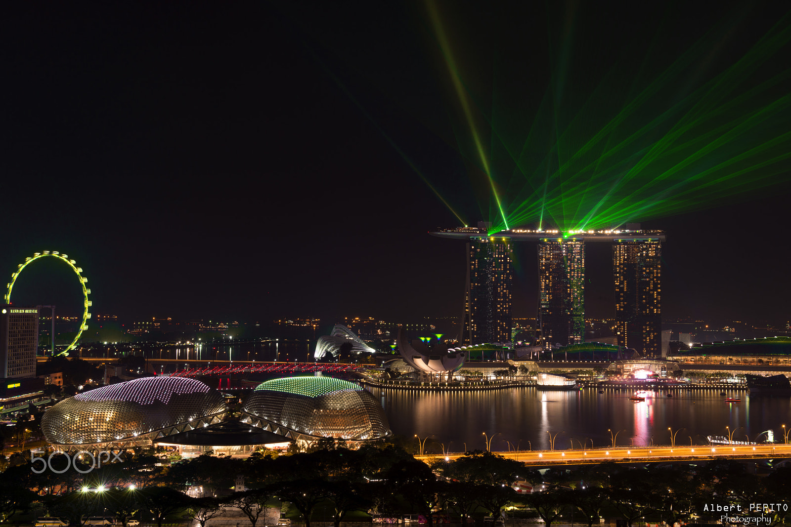 Nikon AF-S Nikkor 24-70mm F2.8G ED sample photo. Massive green light photography