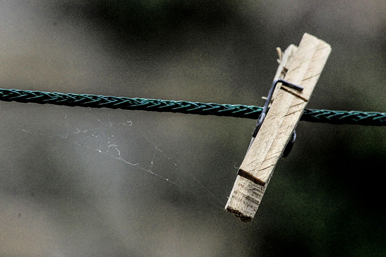 Canon EF 70-300mm F4-5.6 IS USM sample photo. Mg photography