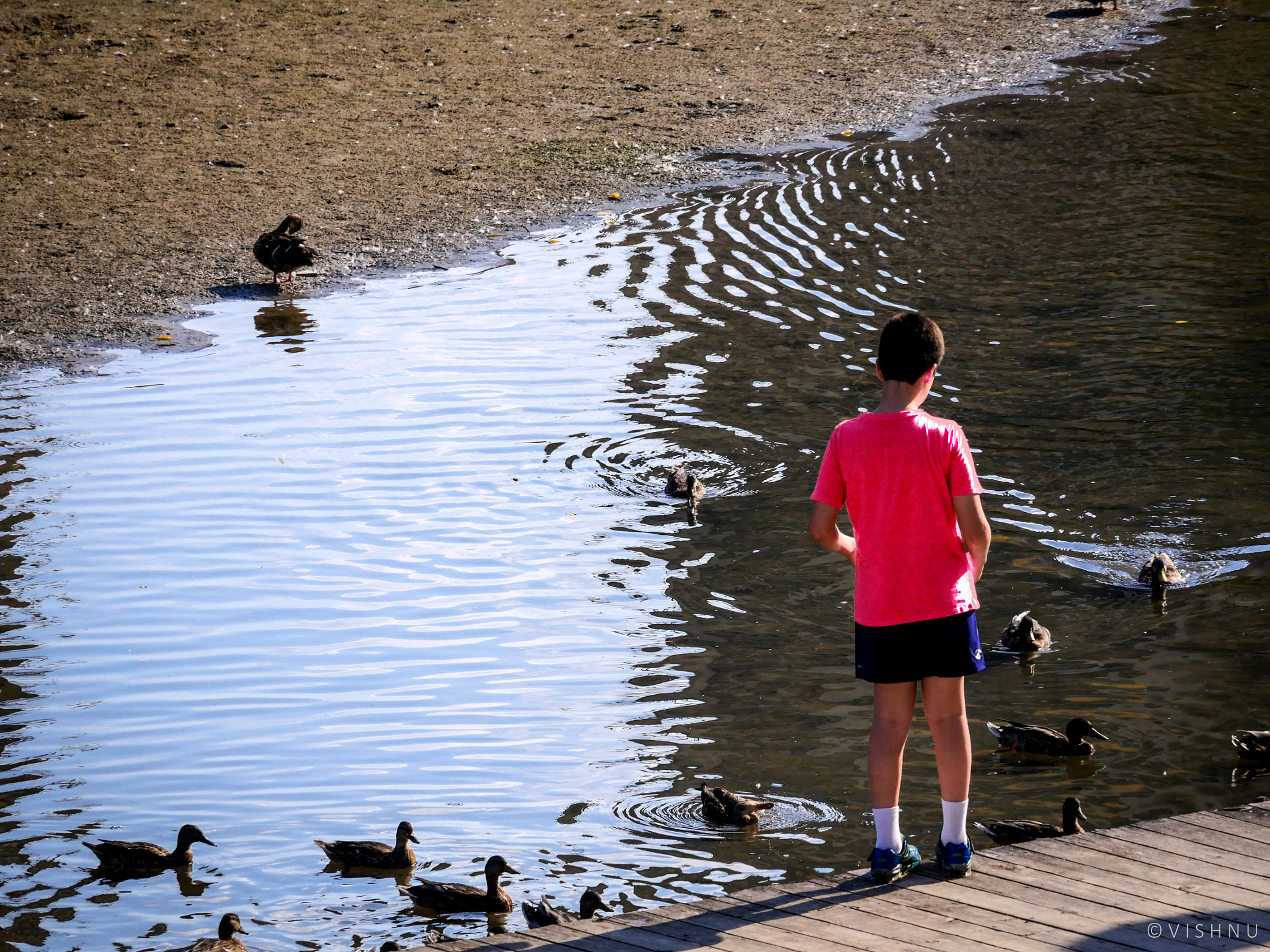 Panasonic Lumix DMC-GH4 sample photo. Boy photography