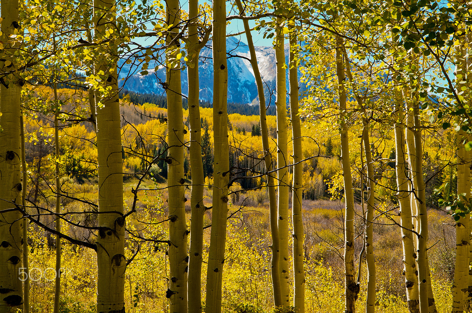 Sony Alpha NEX-6 sample photo. Aspen photography