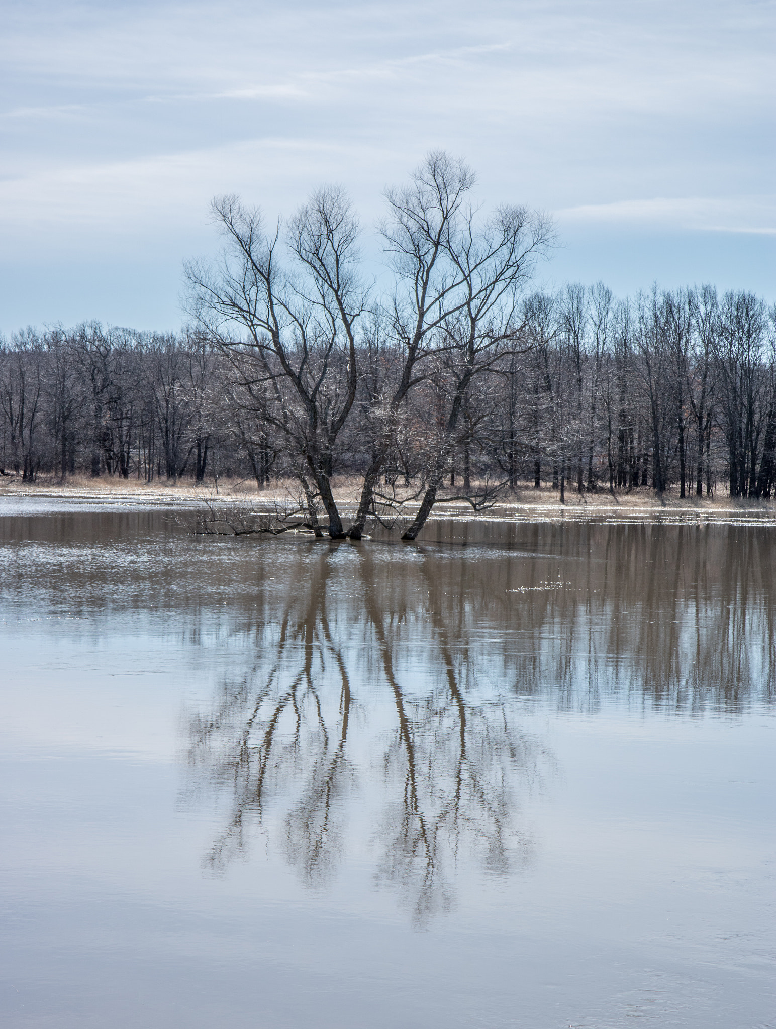 Canon EF-S 17-55mm F2.8 IS USM sample photo. Van patten woods forest preserve april 2017 photography
